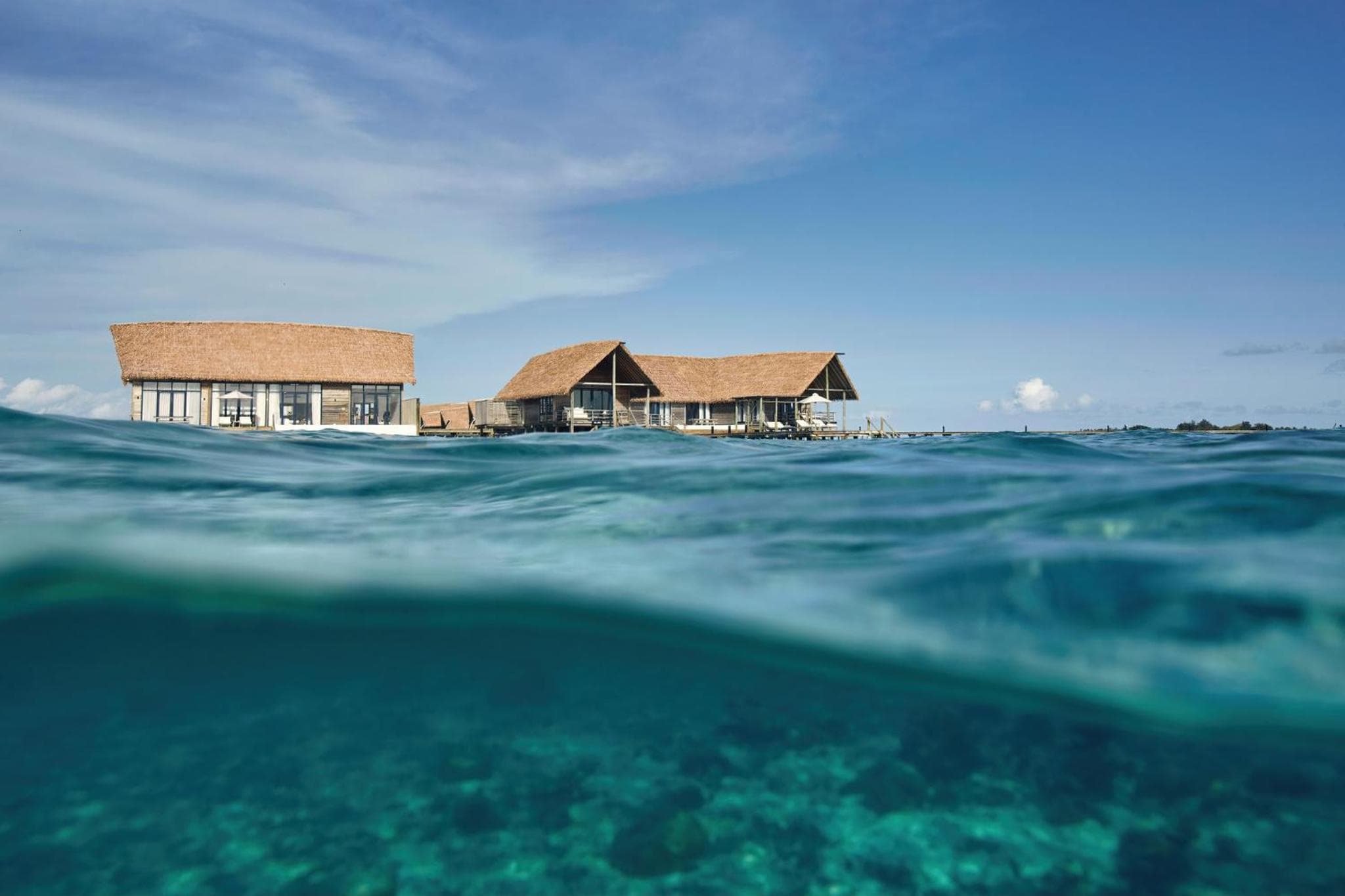 COMO Cocoa Island - Partner Travels FREE for 7 Nights or More - View 57