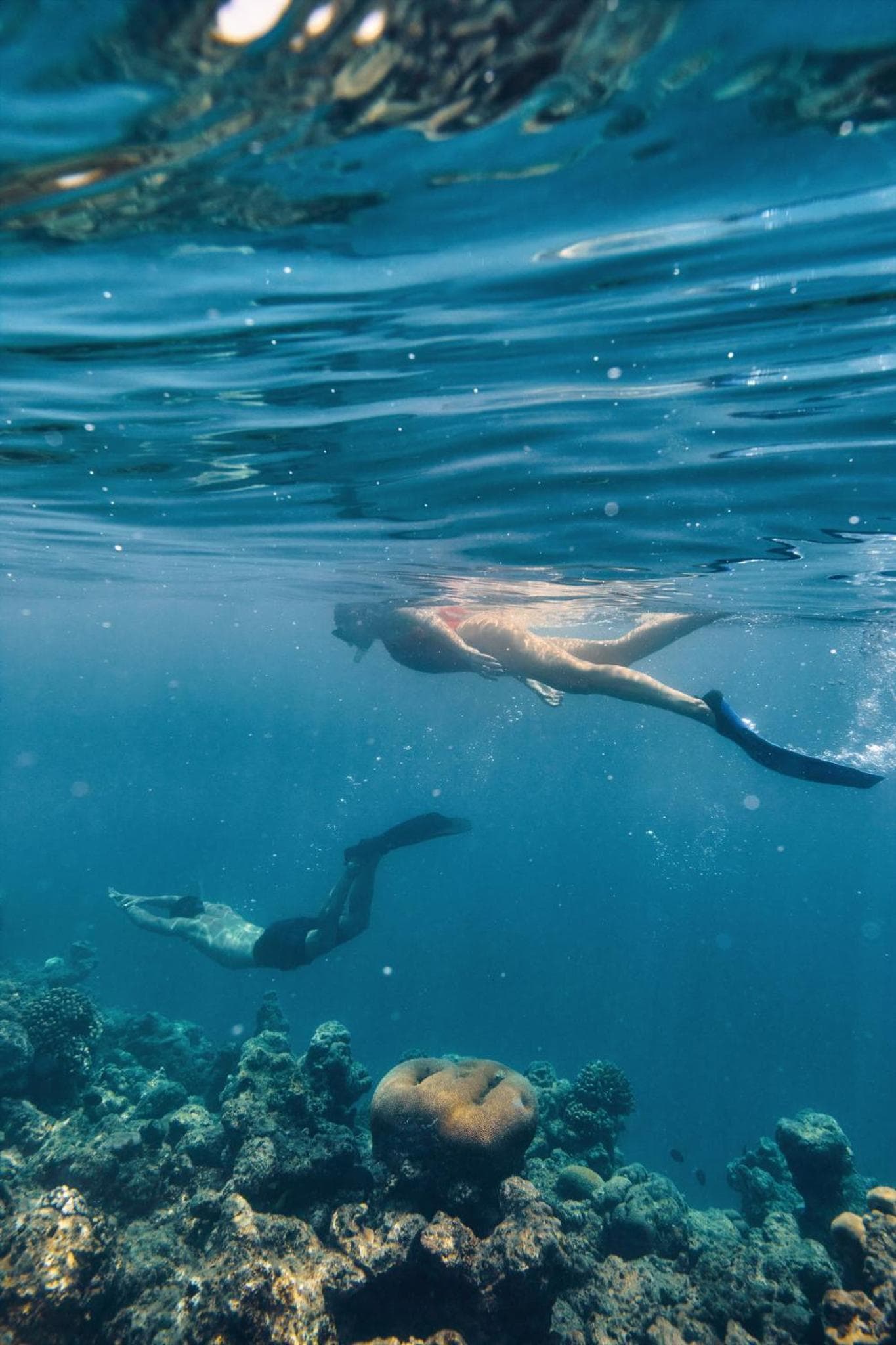 COMO Cocoa Island - Partner Travels FREE for 7 Nights or More - View 110