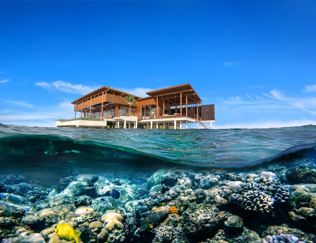 Park Hyatt Maldives Hadahaa - View 34
