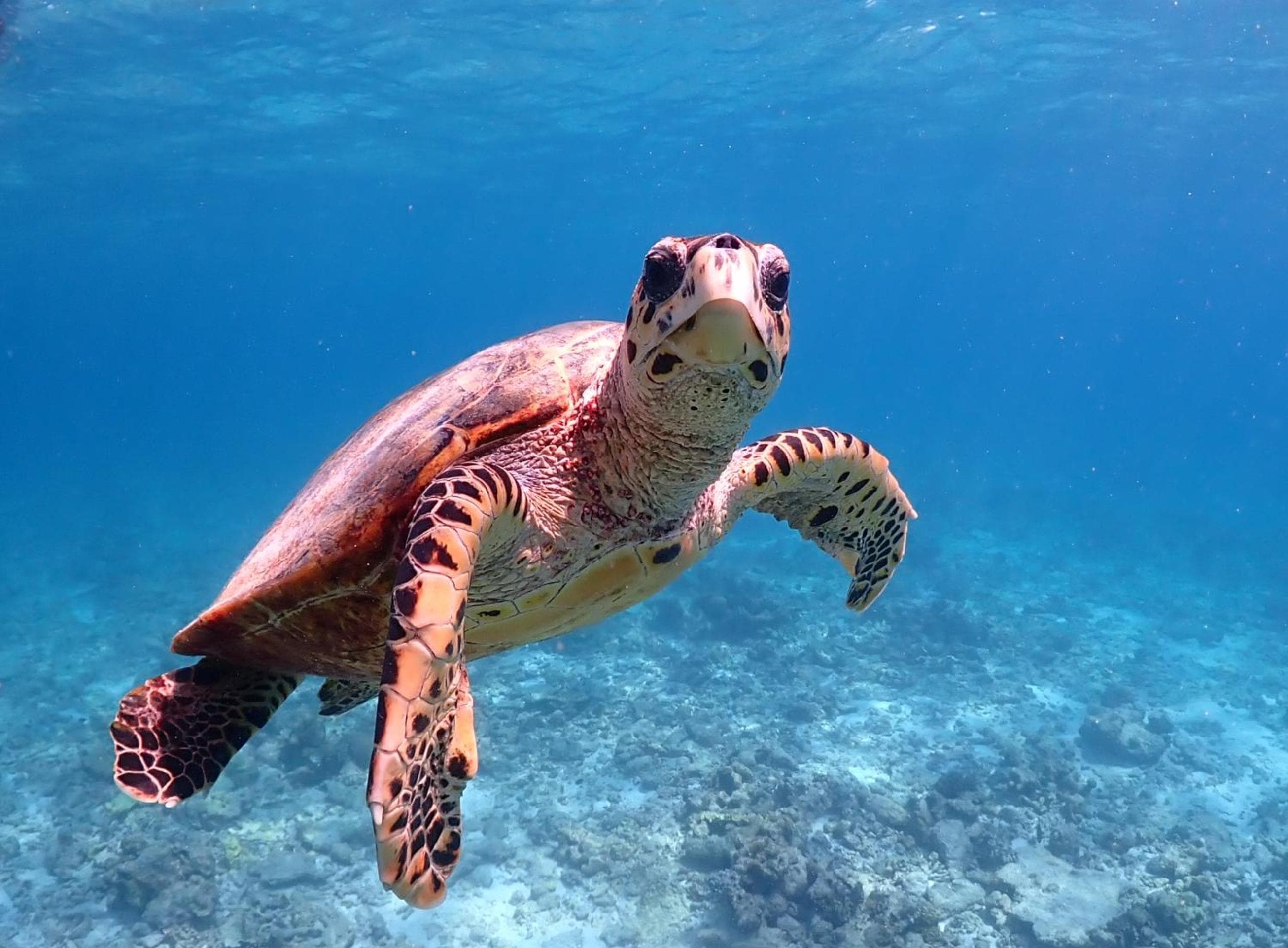 Rasdu View Inn - View 168