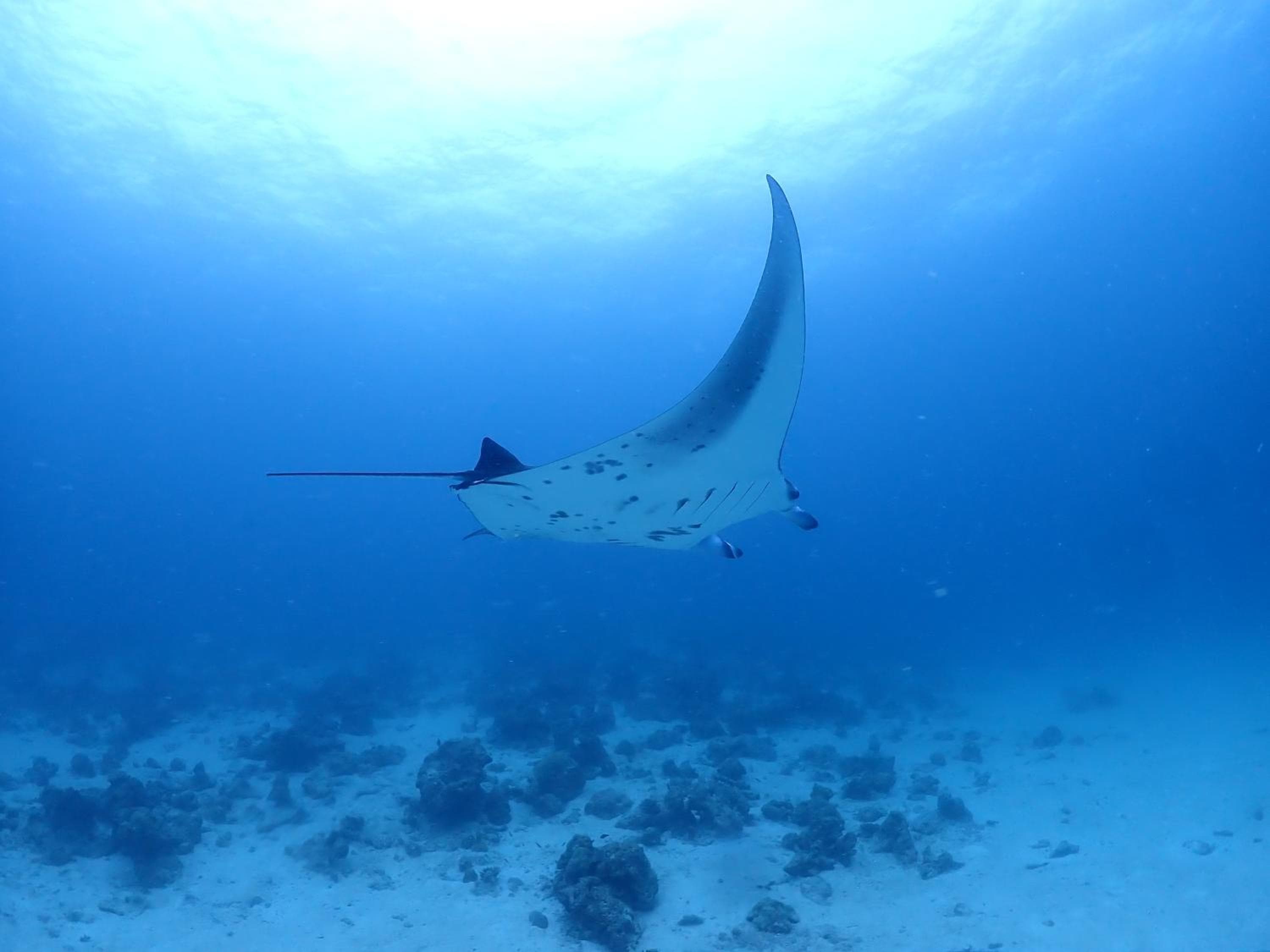 Rasdu View Inn - View 174