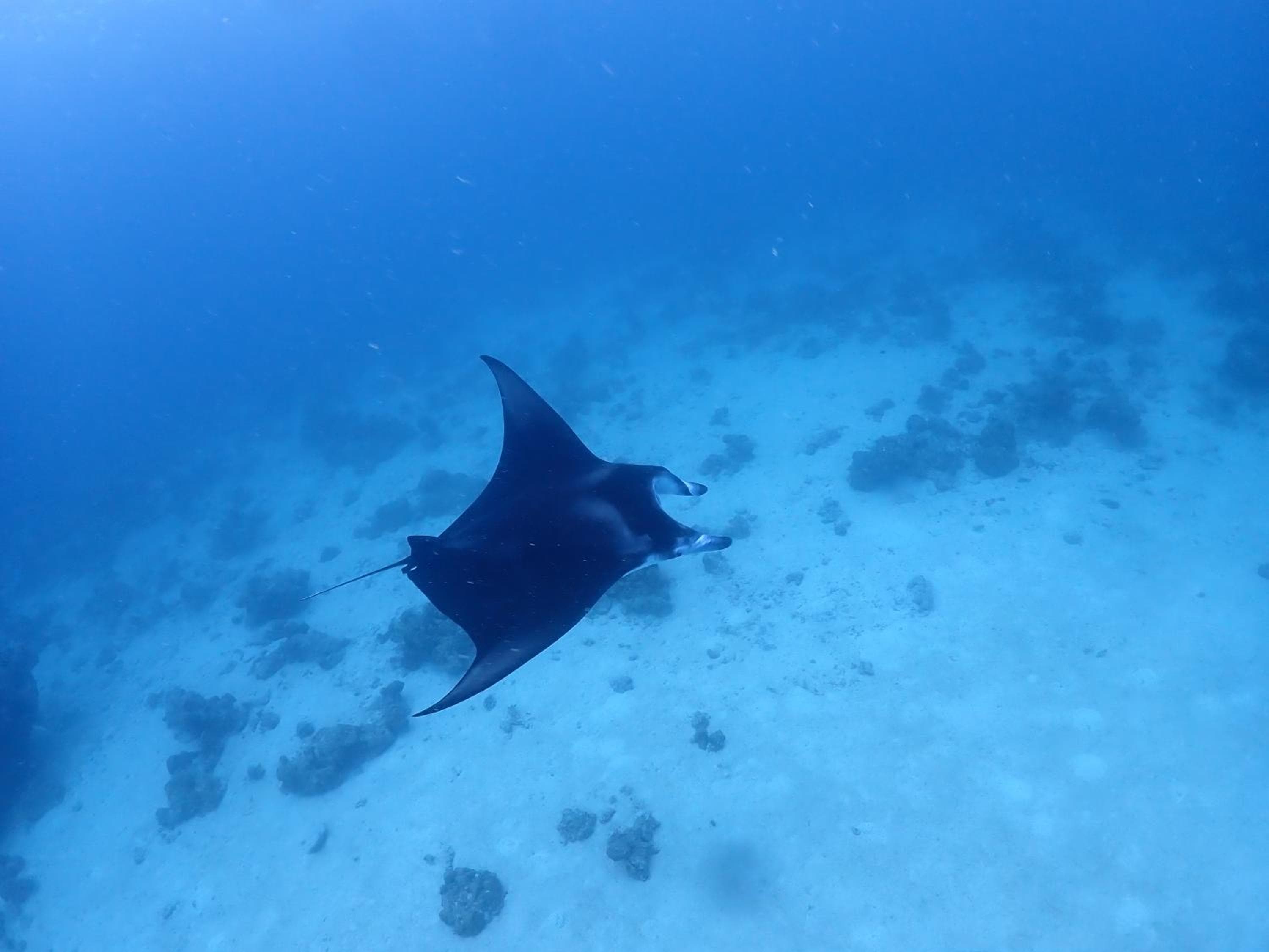 Rasdu View Inn - View 169