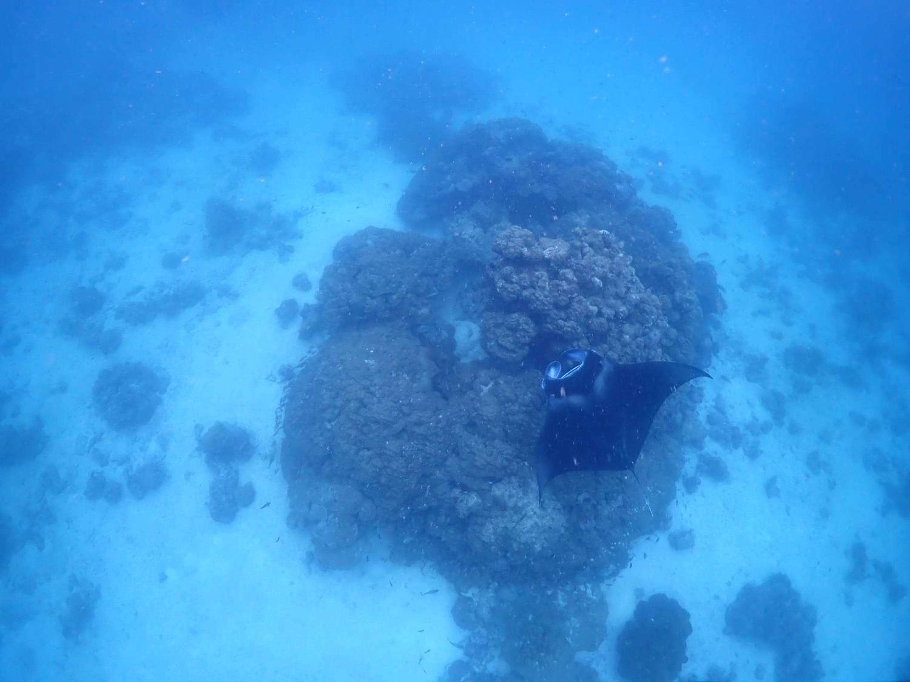 Rasdu View Inn - View 177