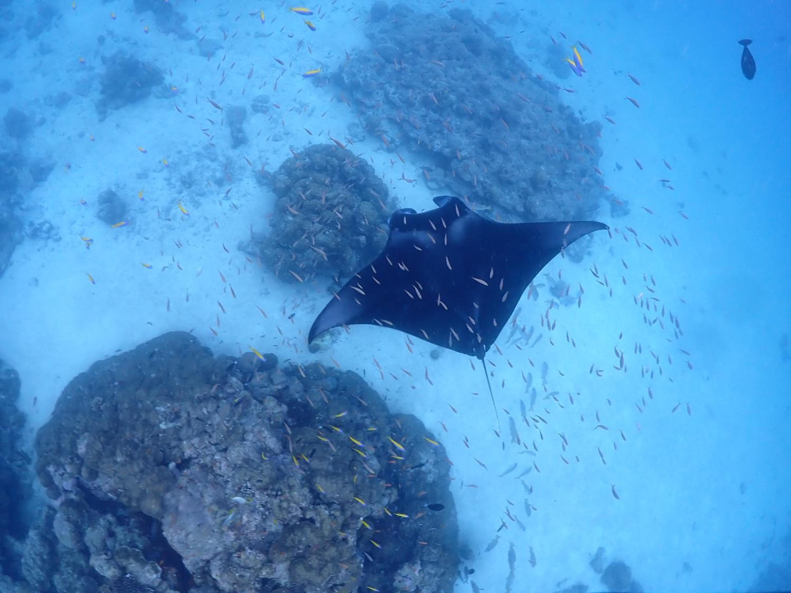 Rasdu View Inn - View 171