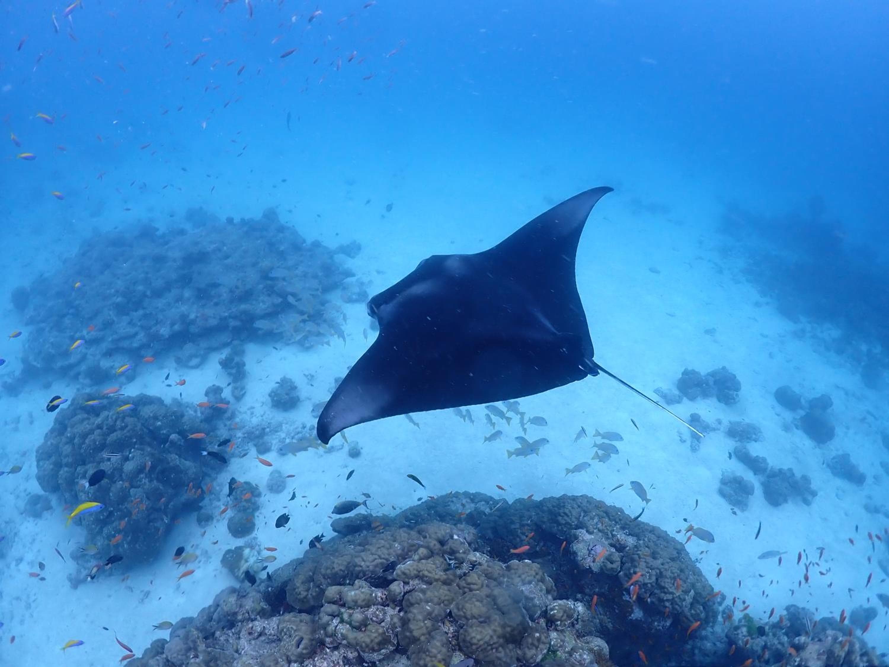 Rasdu View Inn - View 175