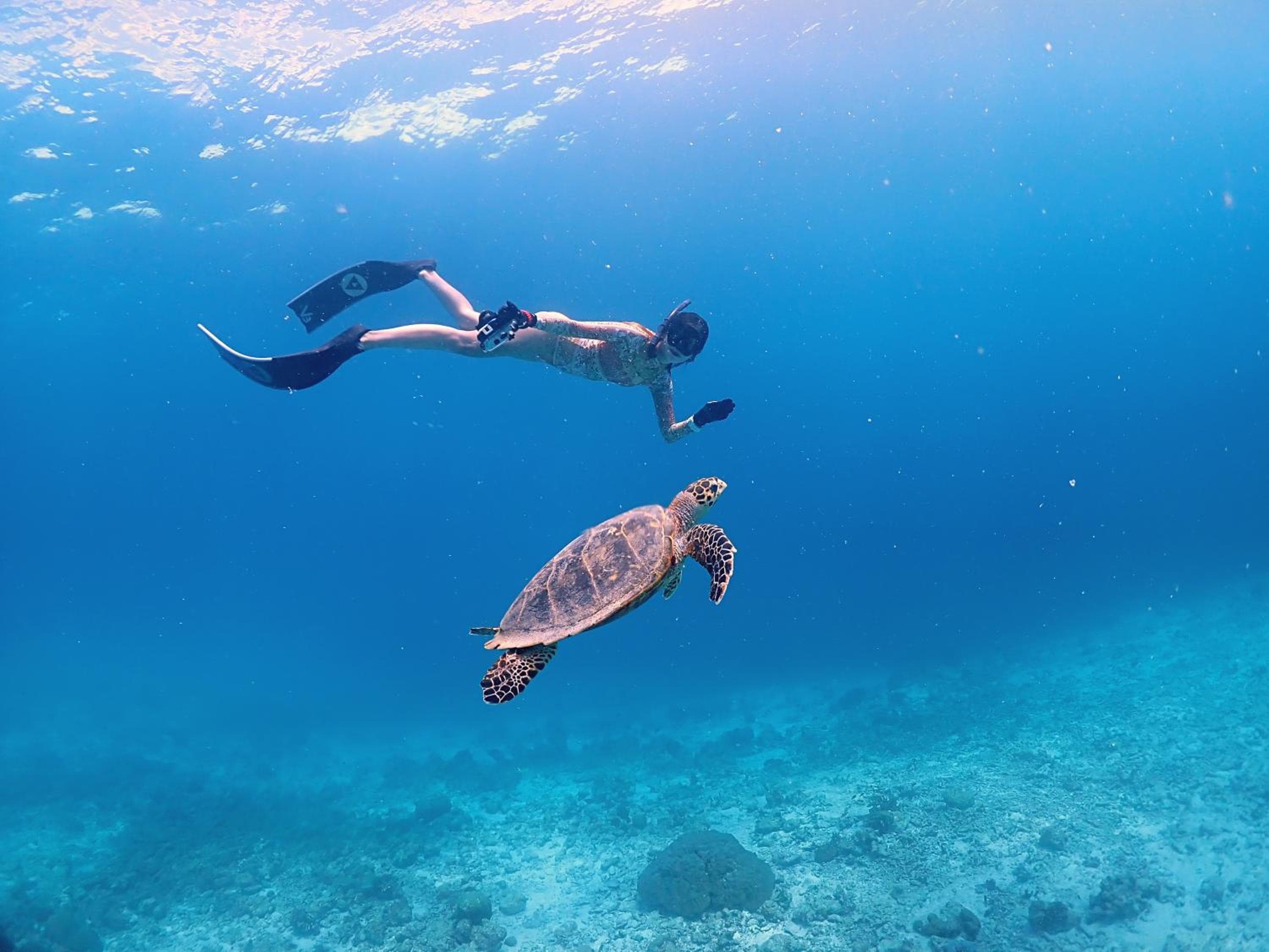 Rasdu View Inn - View 180