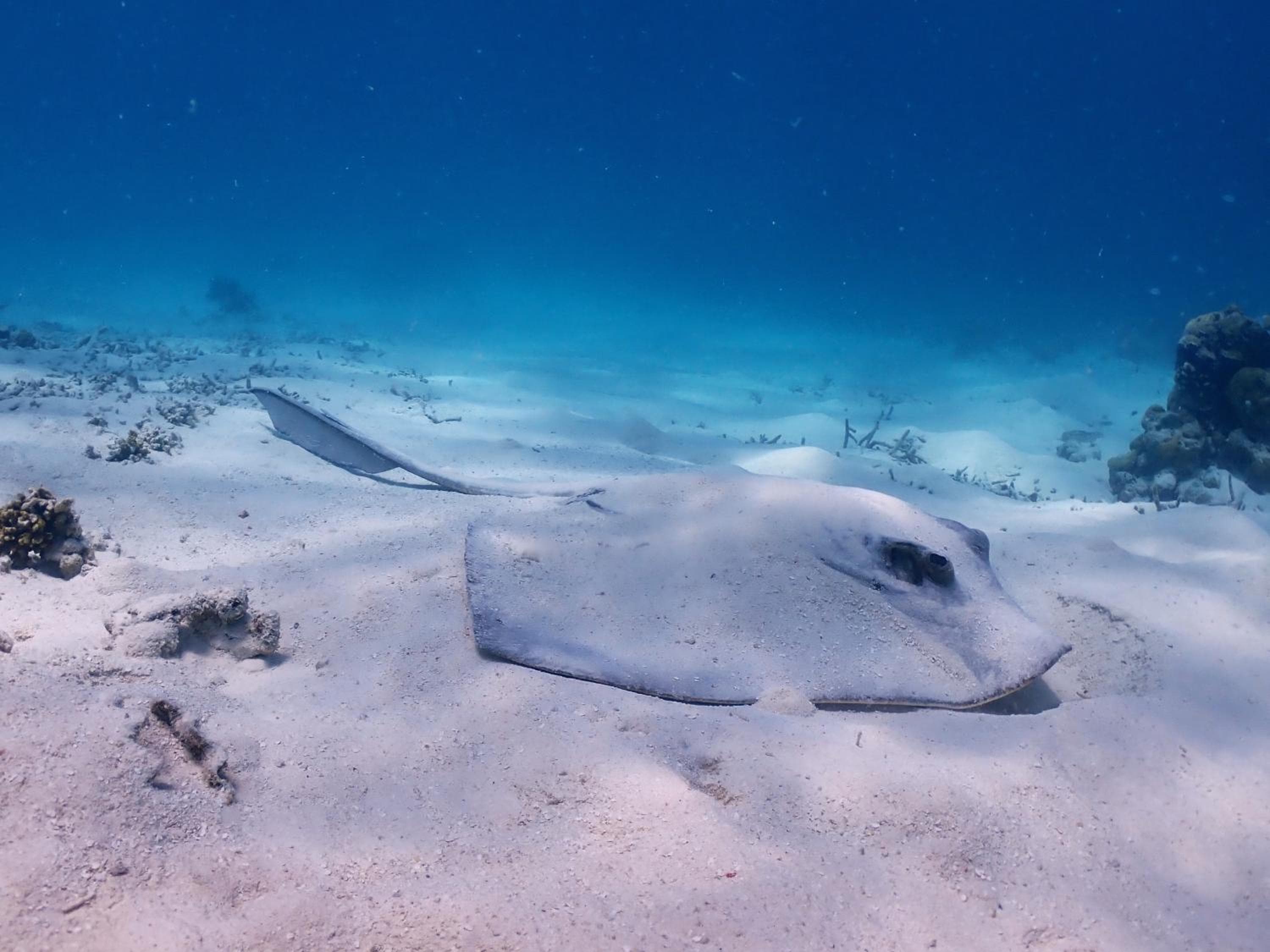 Rasdu View Inn - View 181