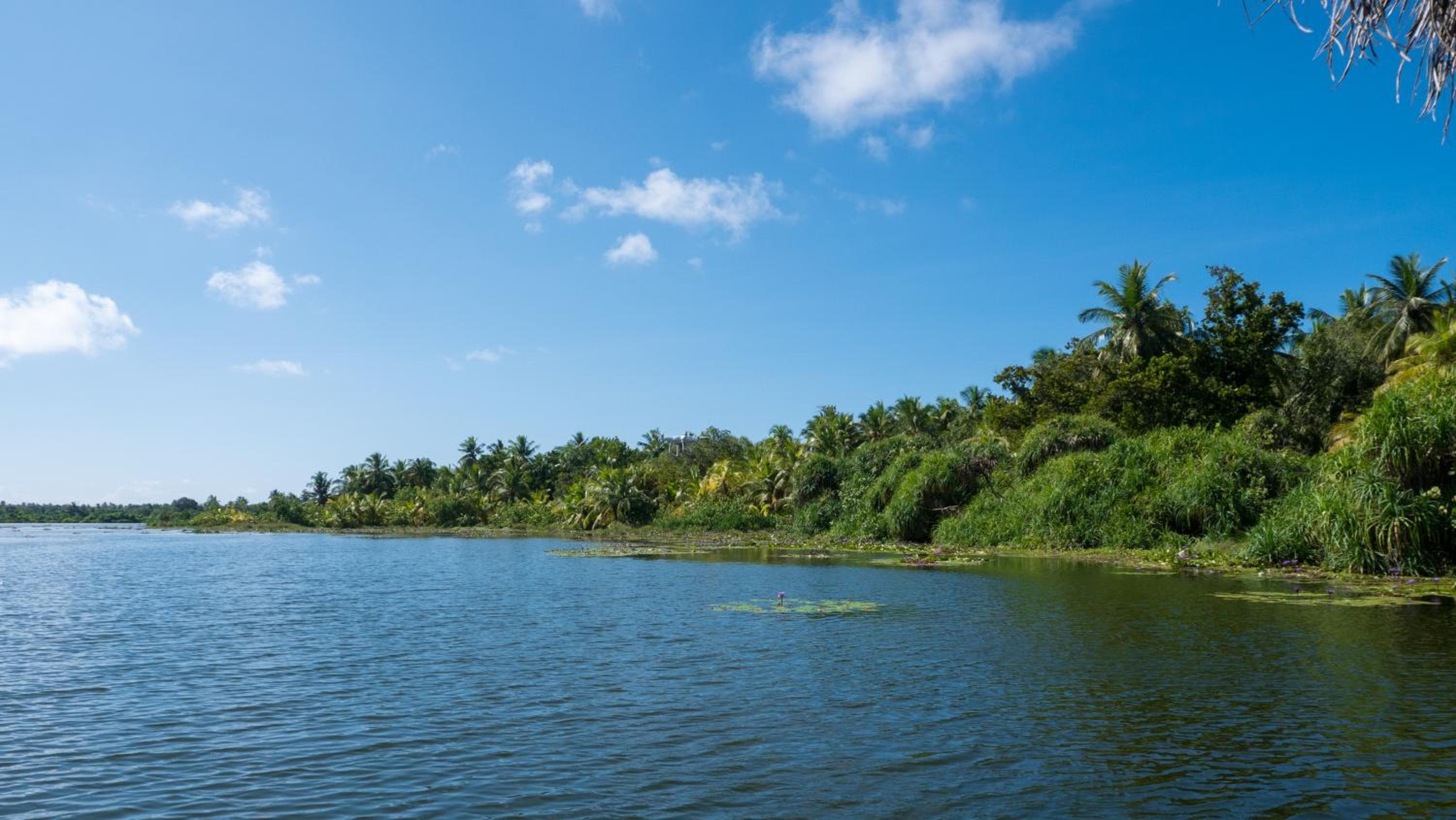 Isle Royal Inn - View 42