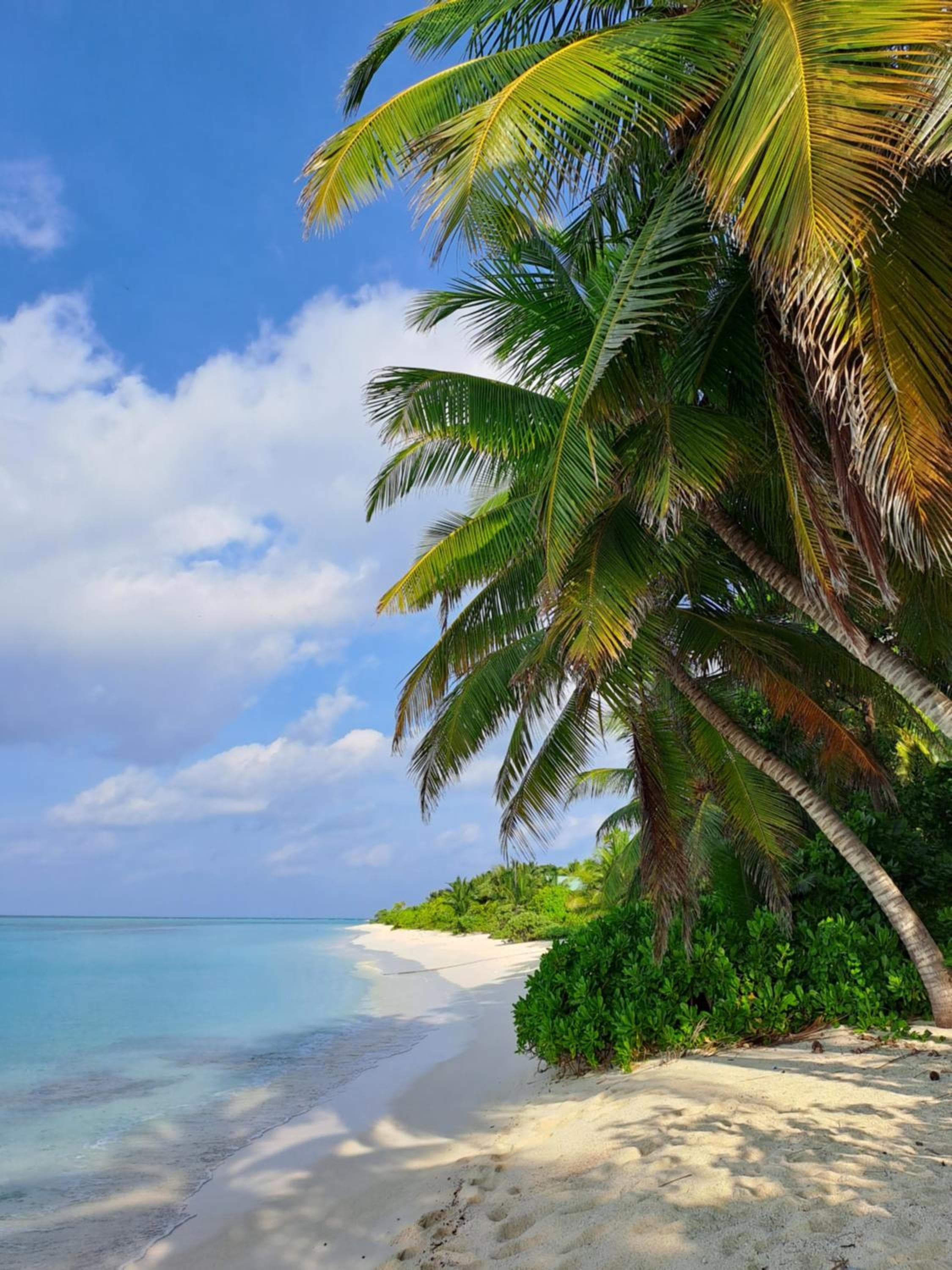 Summer Sky Thoddoo - View 37