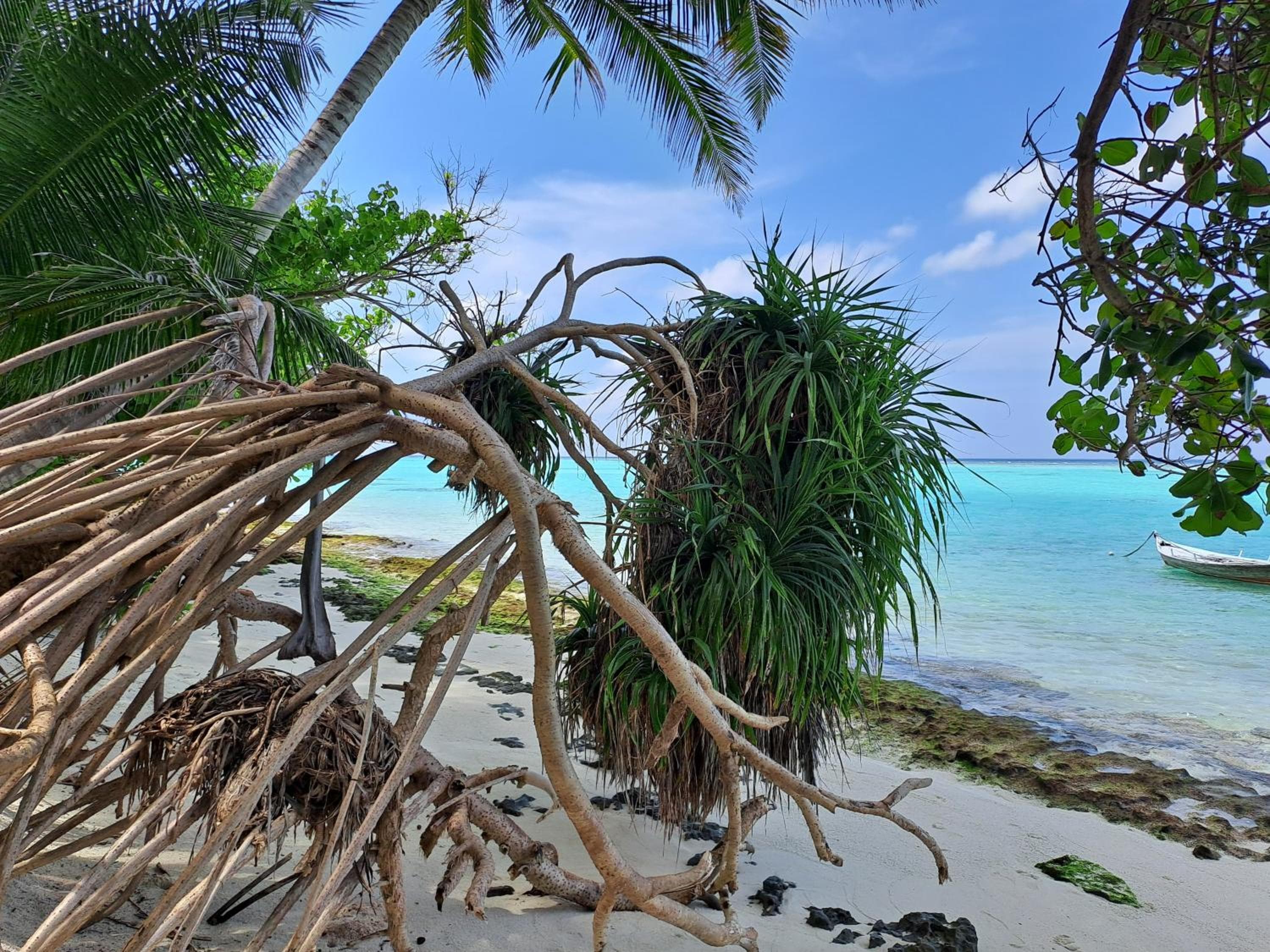 Summer Sky Thoddoo - View 20