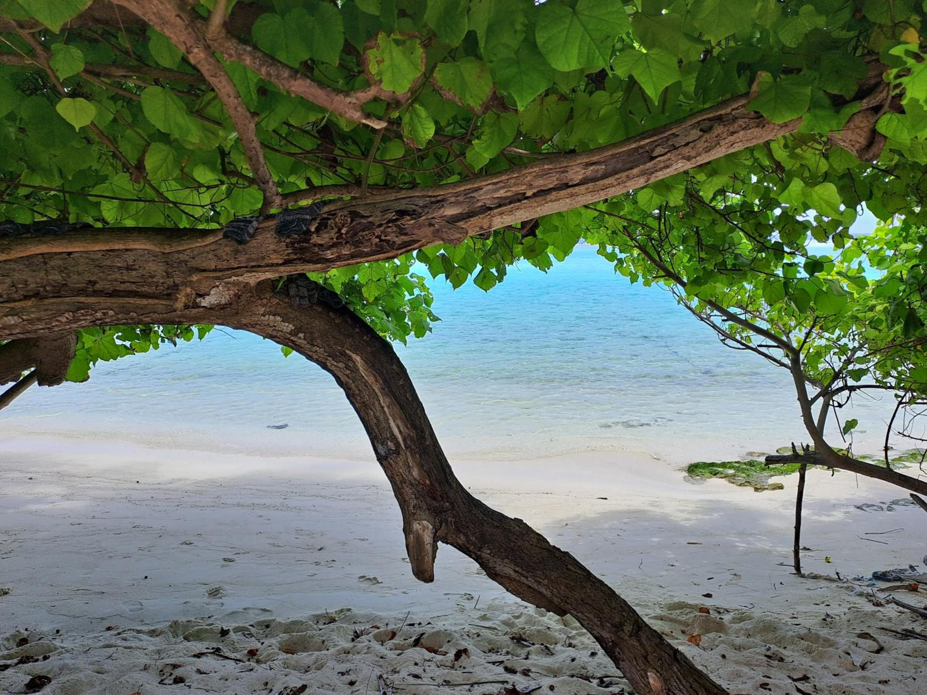 Summer Sky Thoddoo - View 19