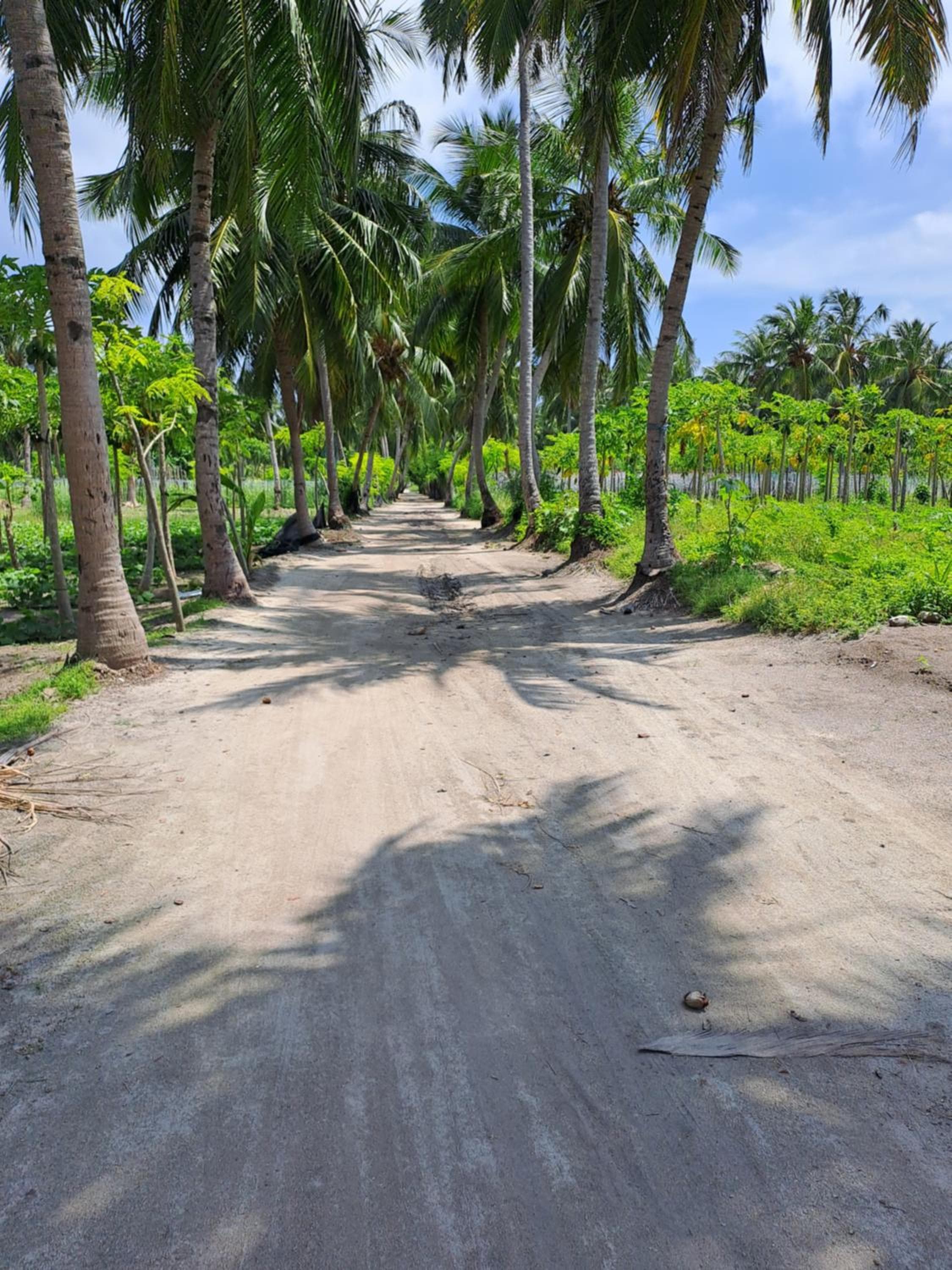 Summer Sky Thoddoo - View 13