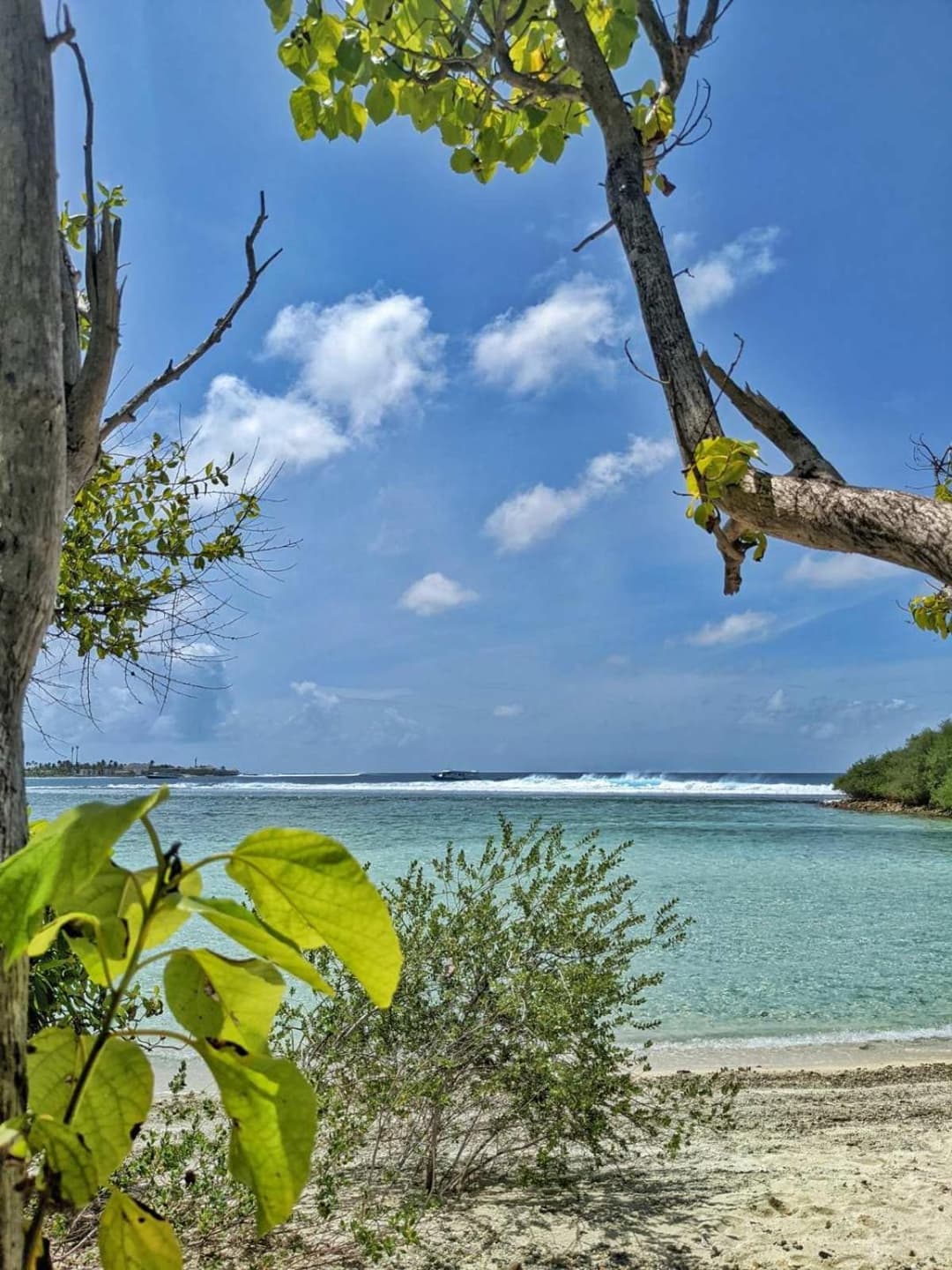 Dhoadhi Retreat - View 13