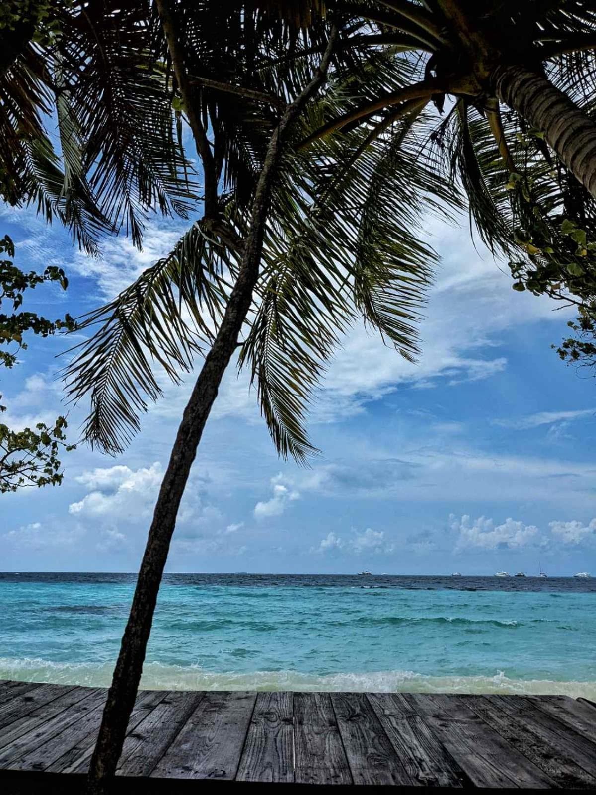 Dhoadhi Retreat - View 15