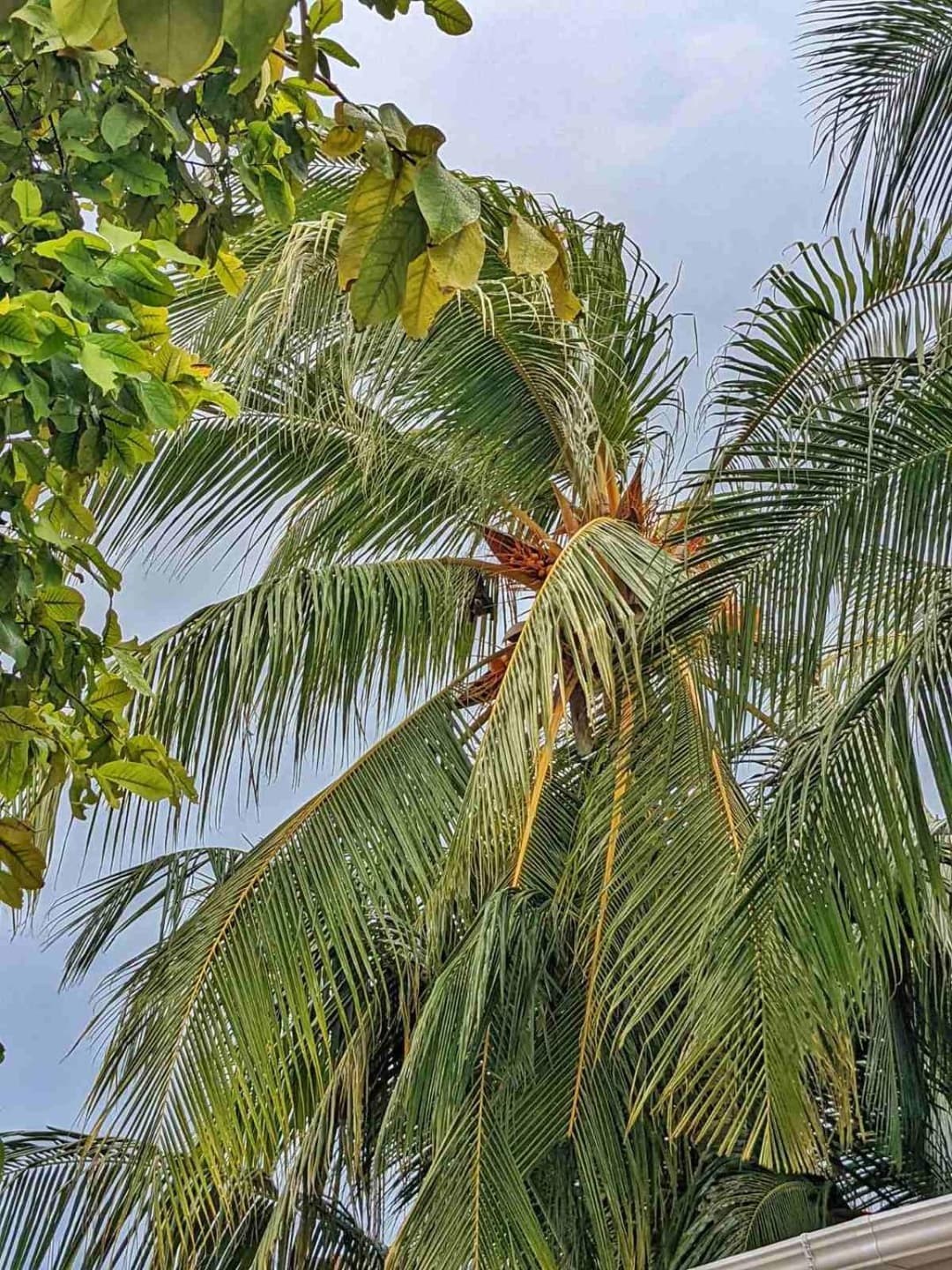 Dhoadhi Retreat - View 7