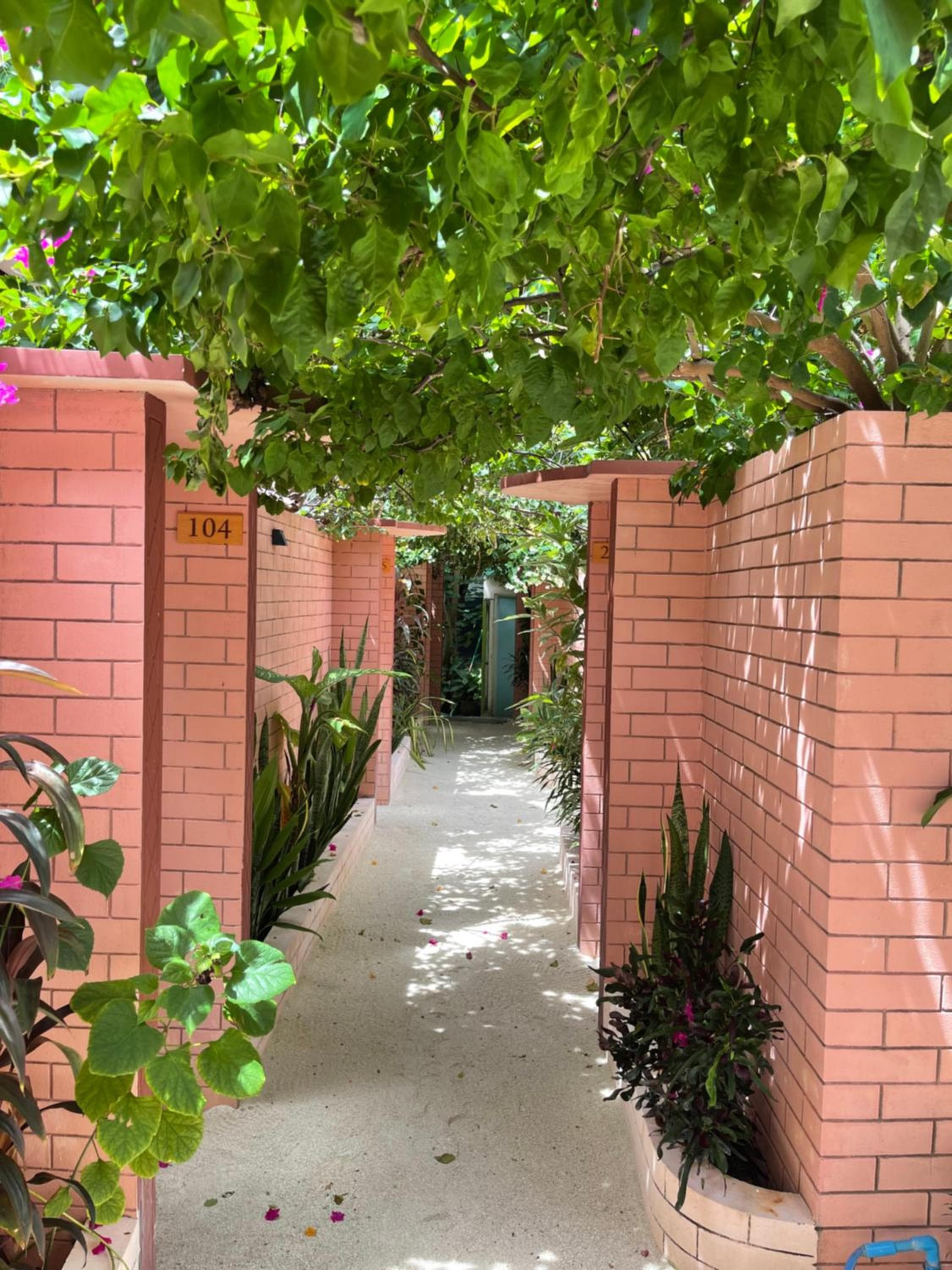 New Breeze Thoddoo Inn - View 9