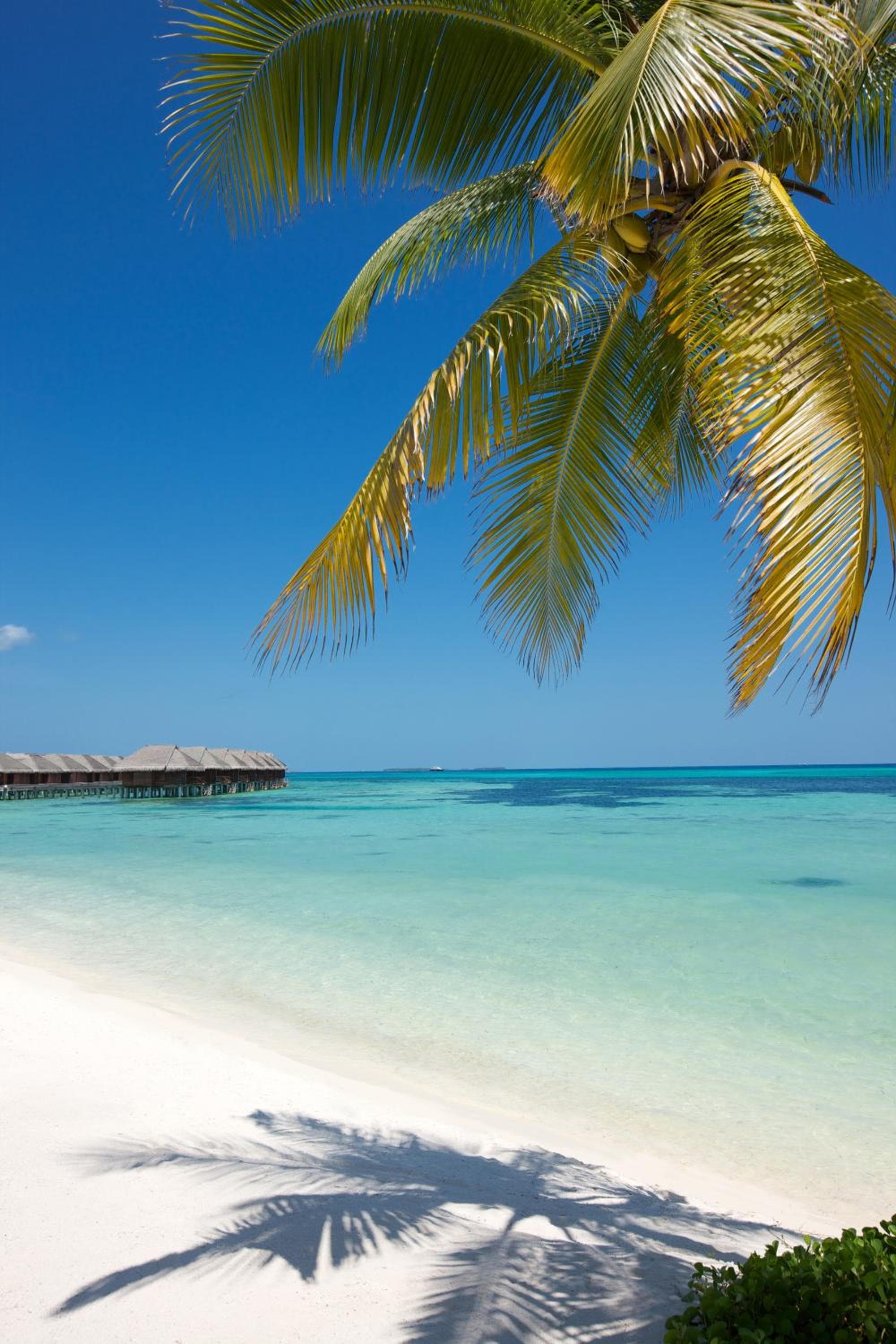 LUX* South Ari Atoll Resort & Villas - View 97