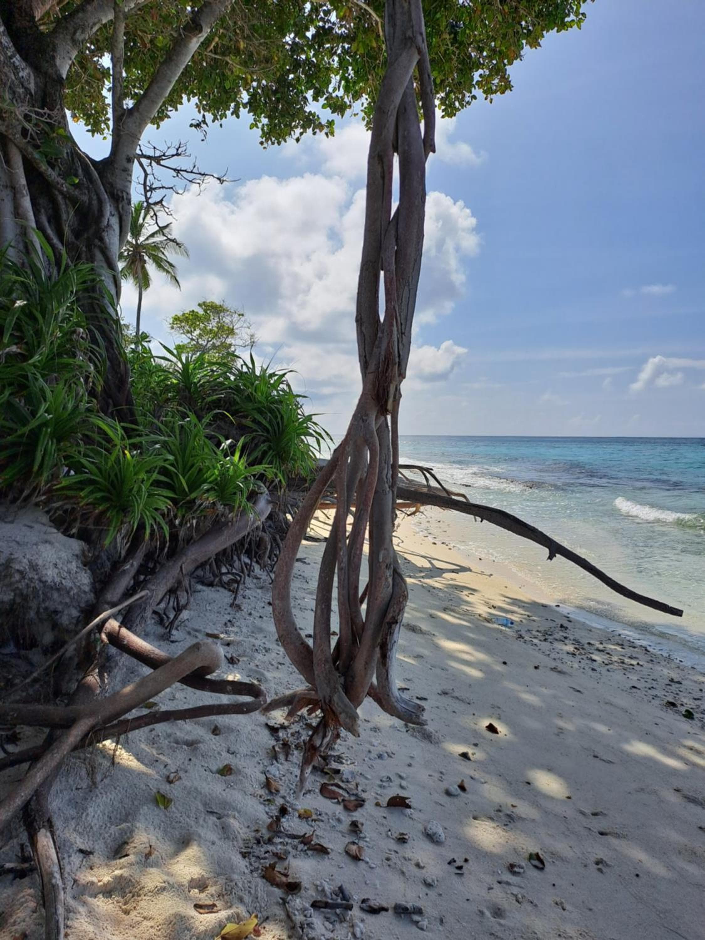 Summer Sky Thoddoo - View 7