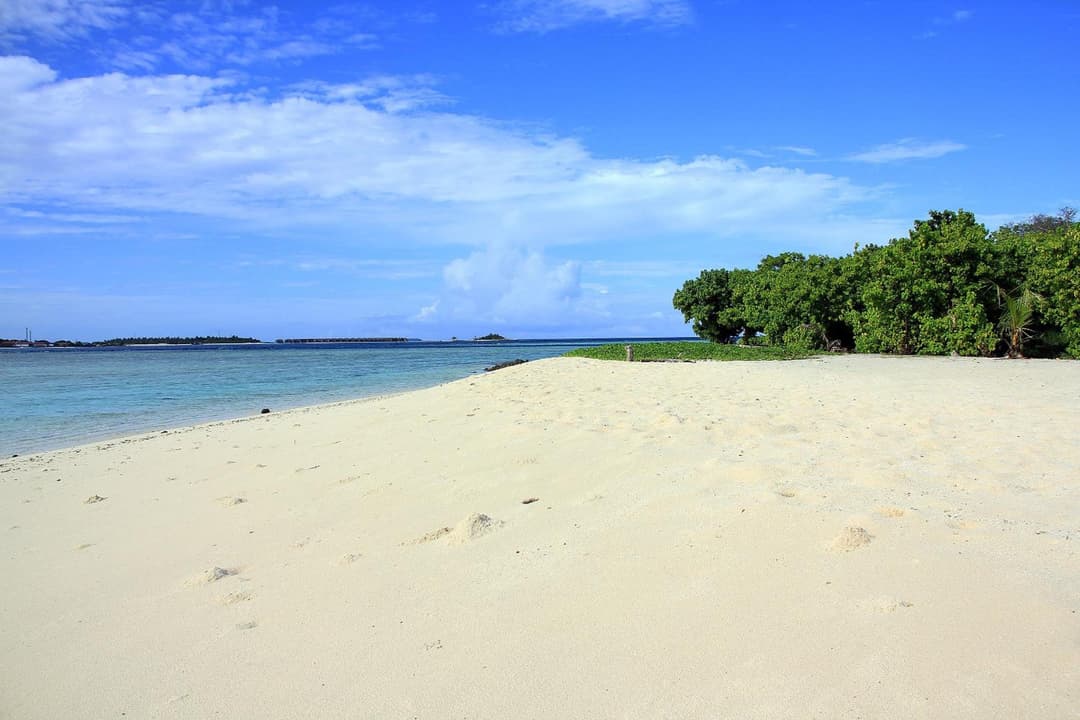 Tropic Tree Maldives - View 53