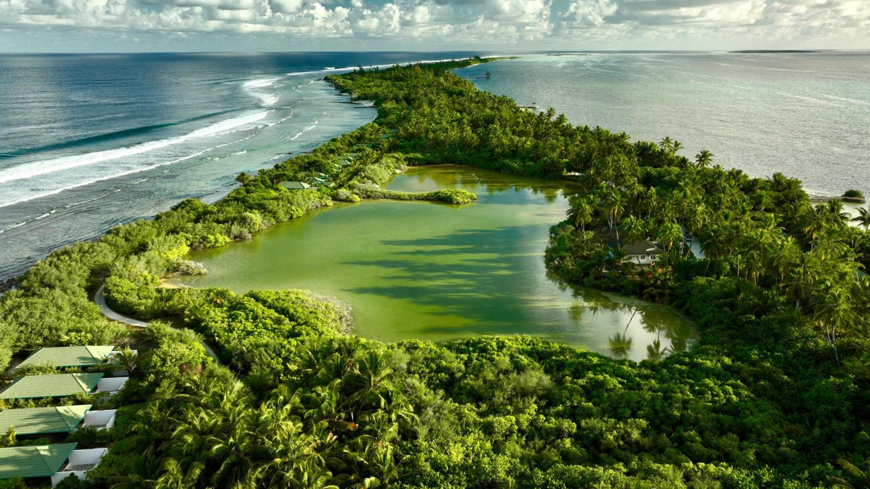 Canareef Resort Maldives - View 186