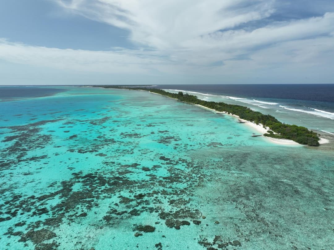 Canareef Resort Maldives - View 214