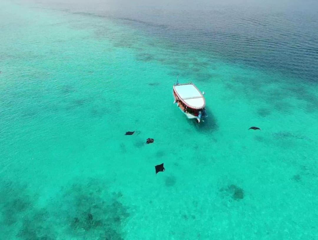 Sunrise by white sand dhigurah - View 32