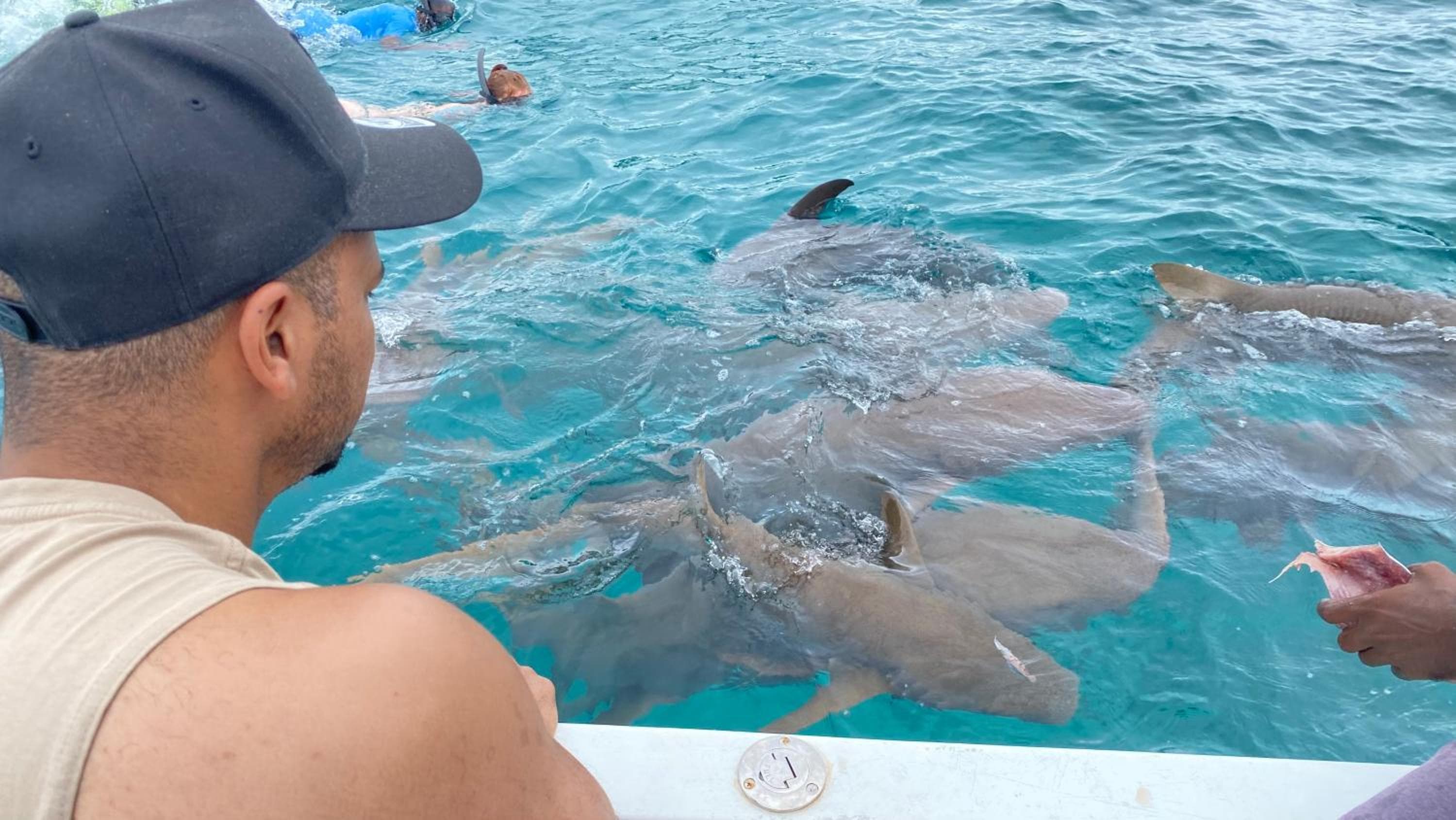 Alimas Holiday Retreat Maldives - View 22