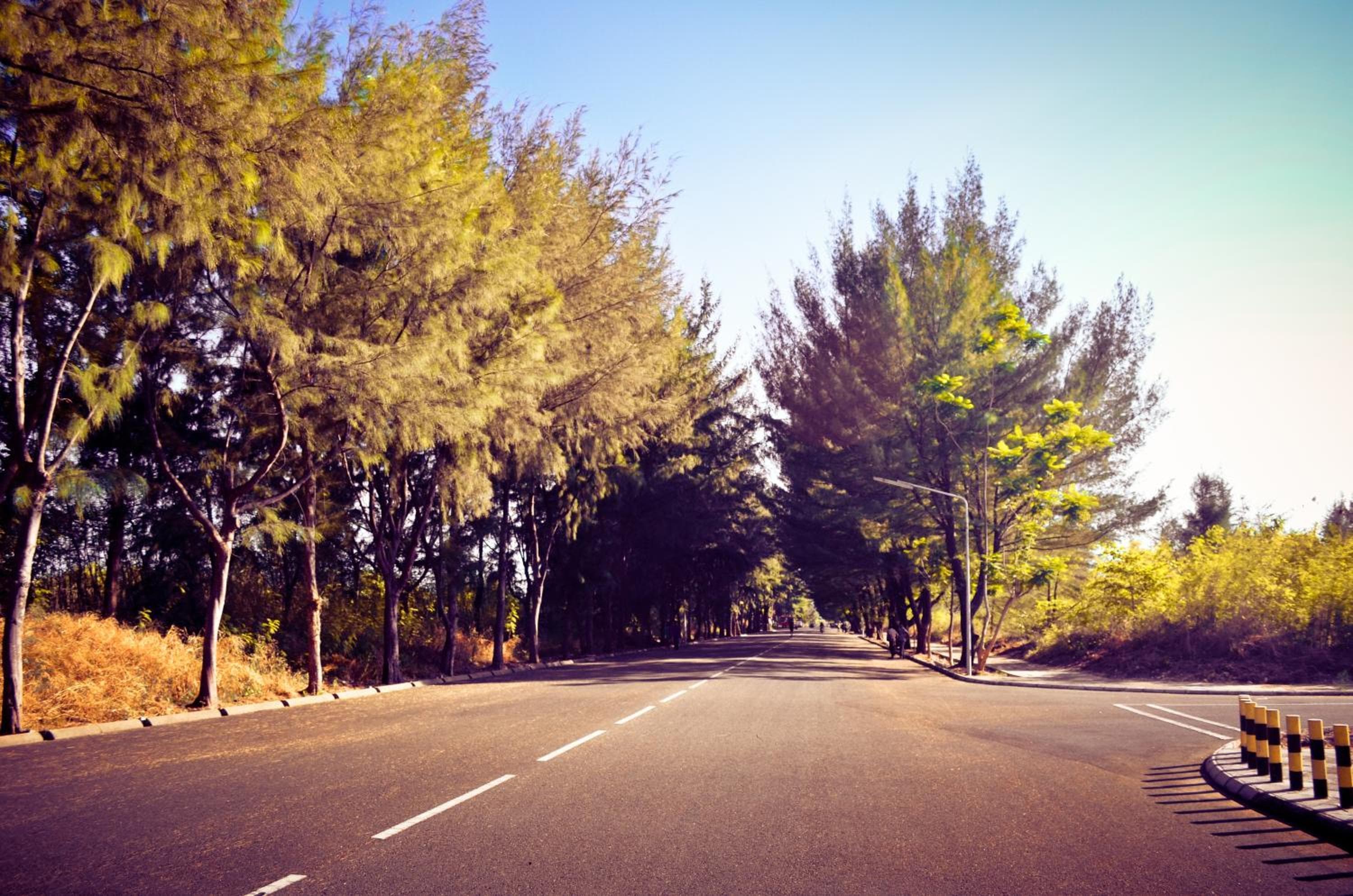 Beach Palace - View 35