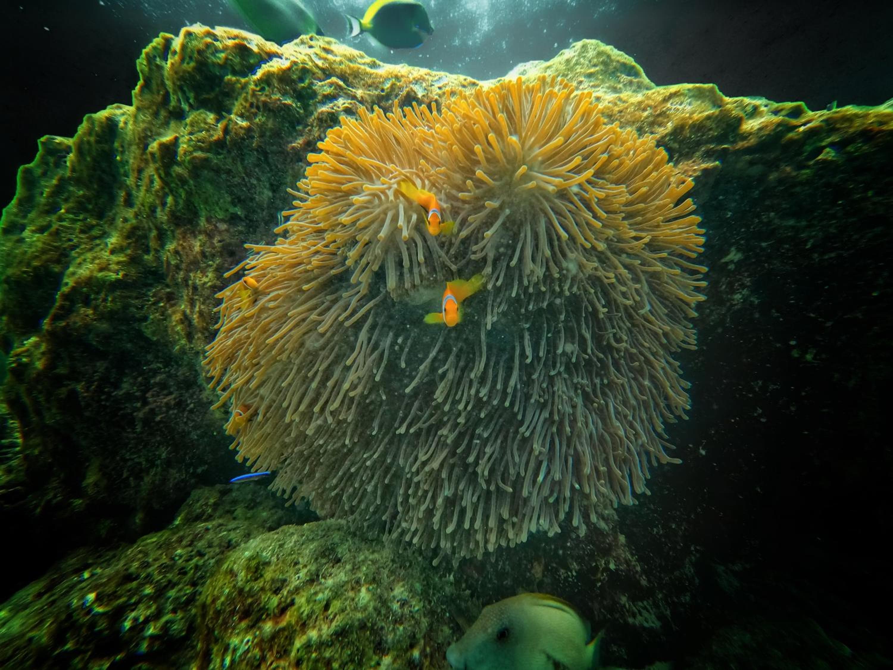 Athens View Hotel - View 23