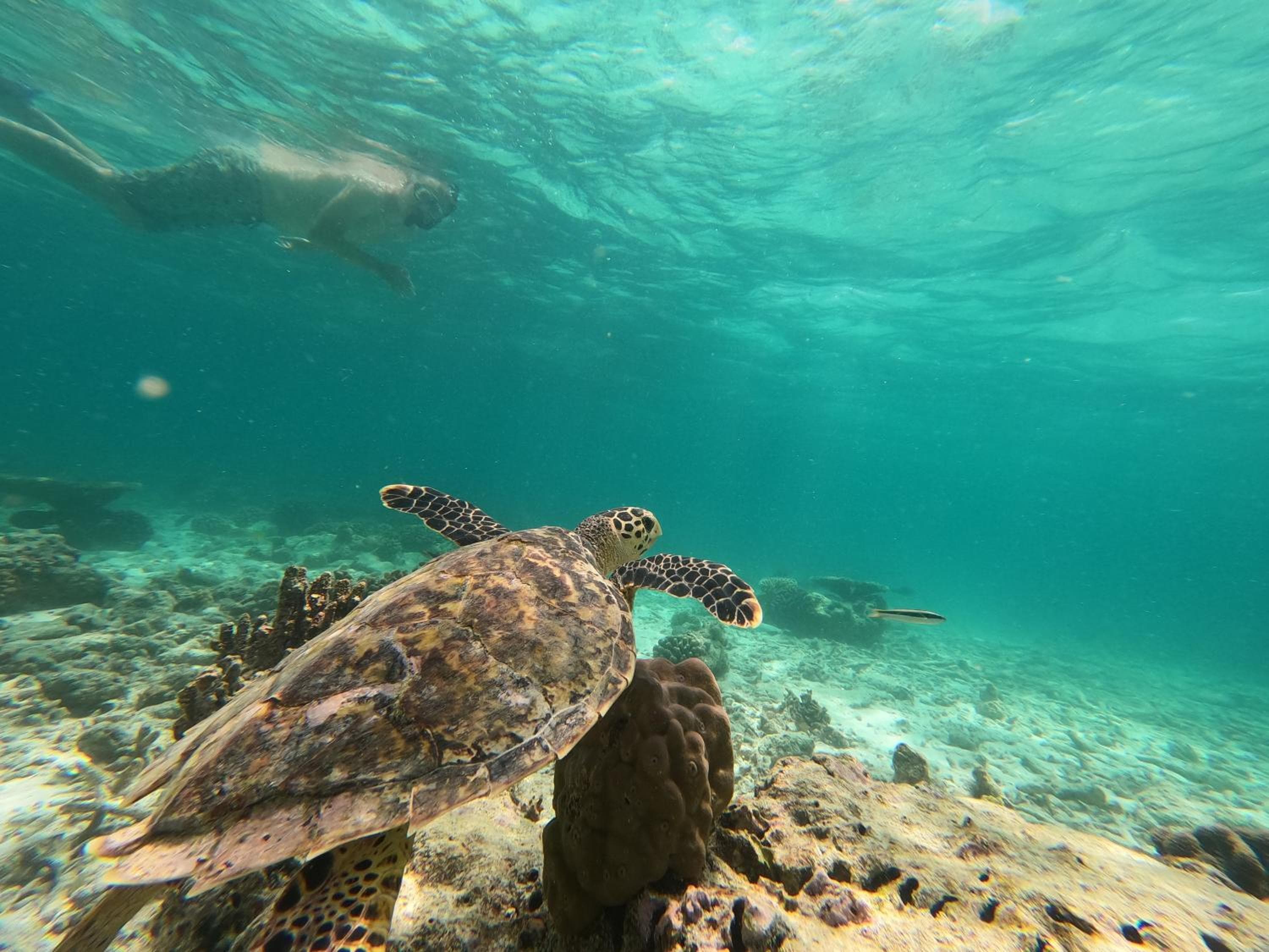 Athens View Hotel - View 19