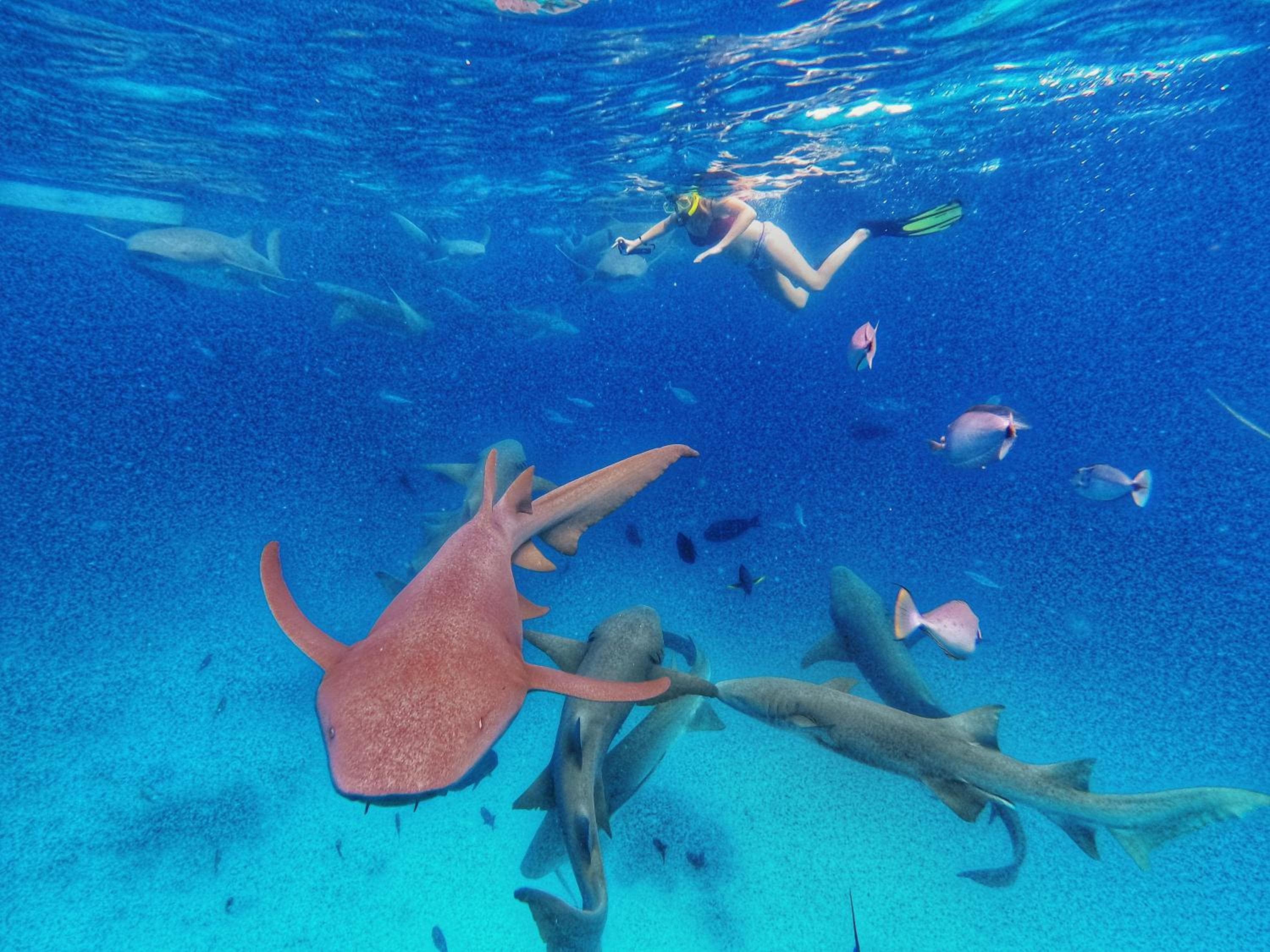 Athens View Hotel - View 17