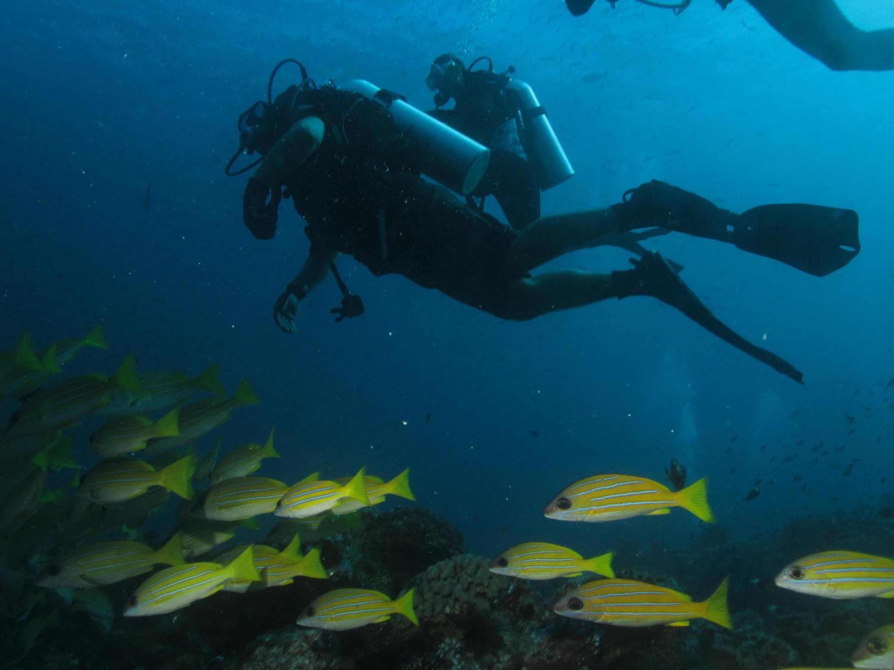 Beach Palace - View 31