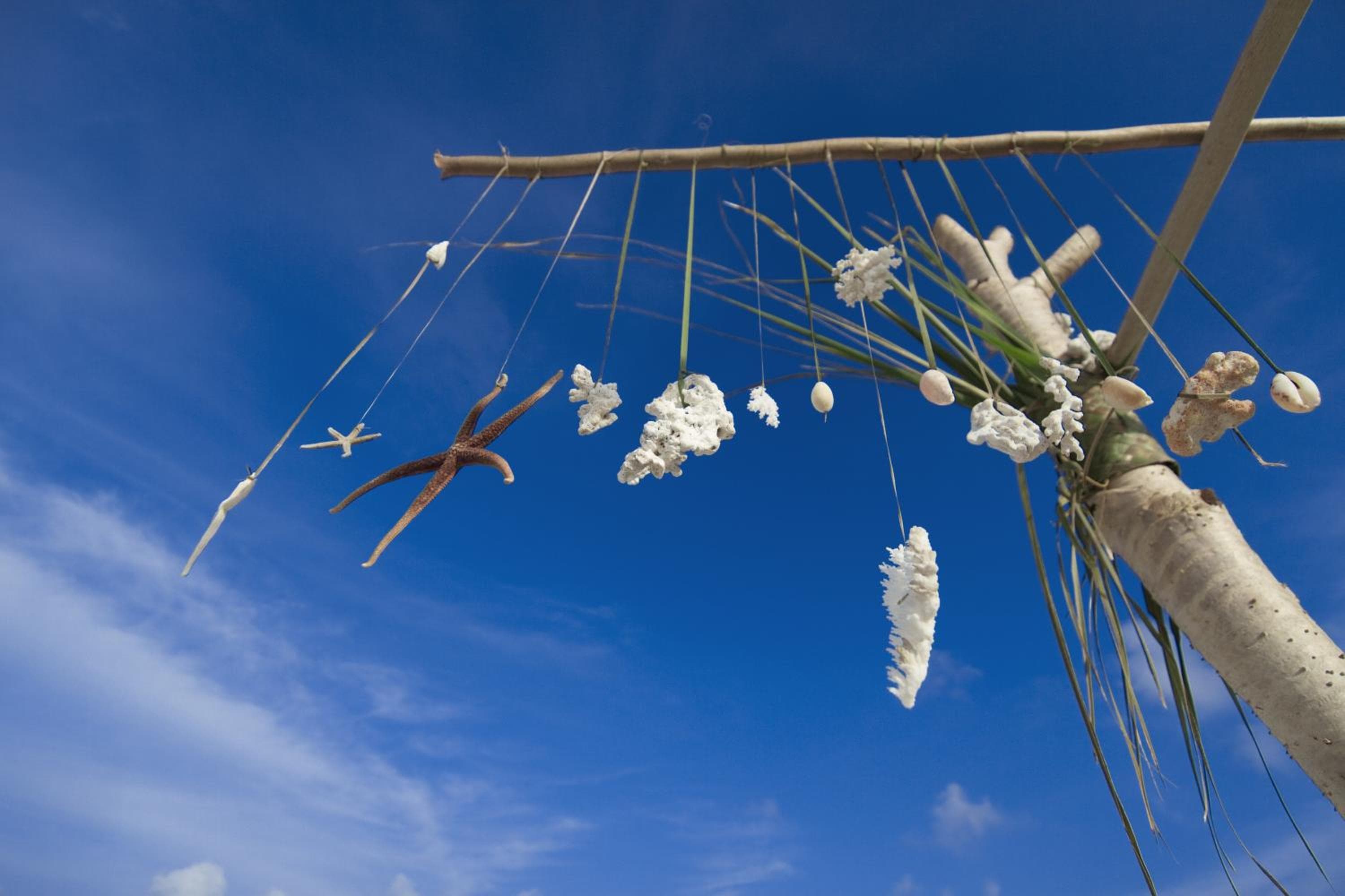 Plumeria Maldives - View 57