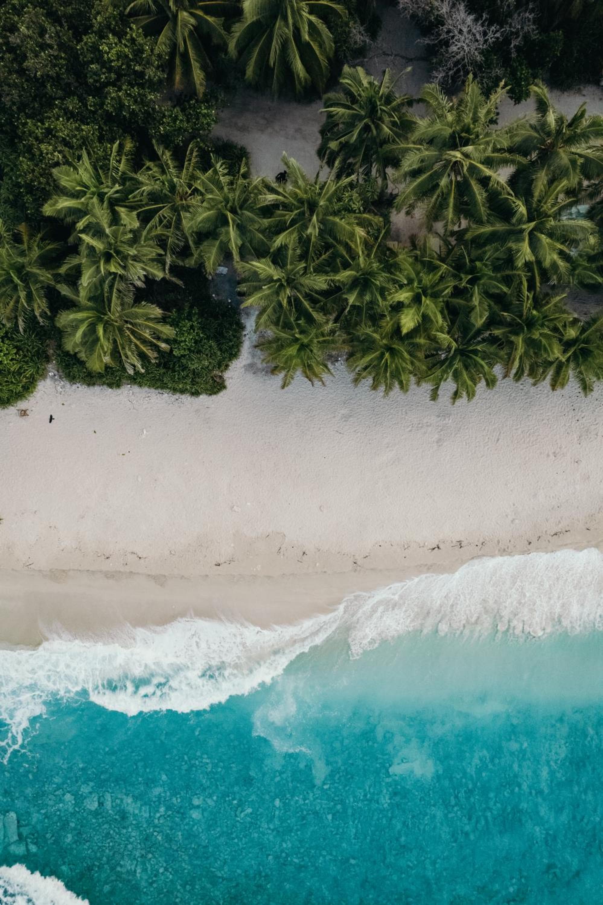 Ataraxis Grand and Spa Fuvahmulah - View 17