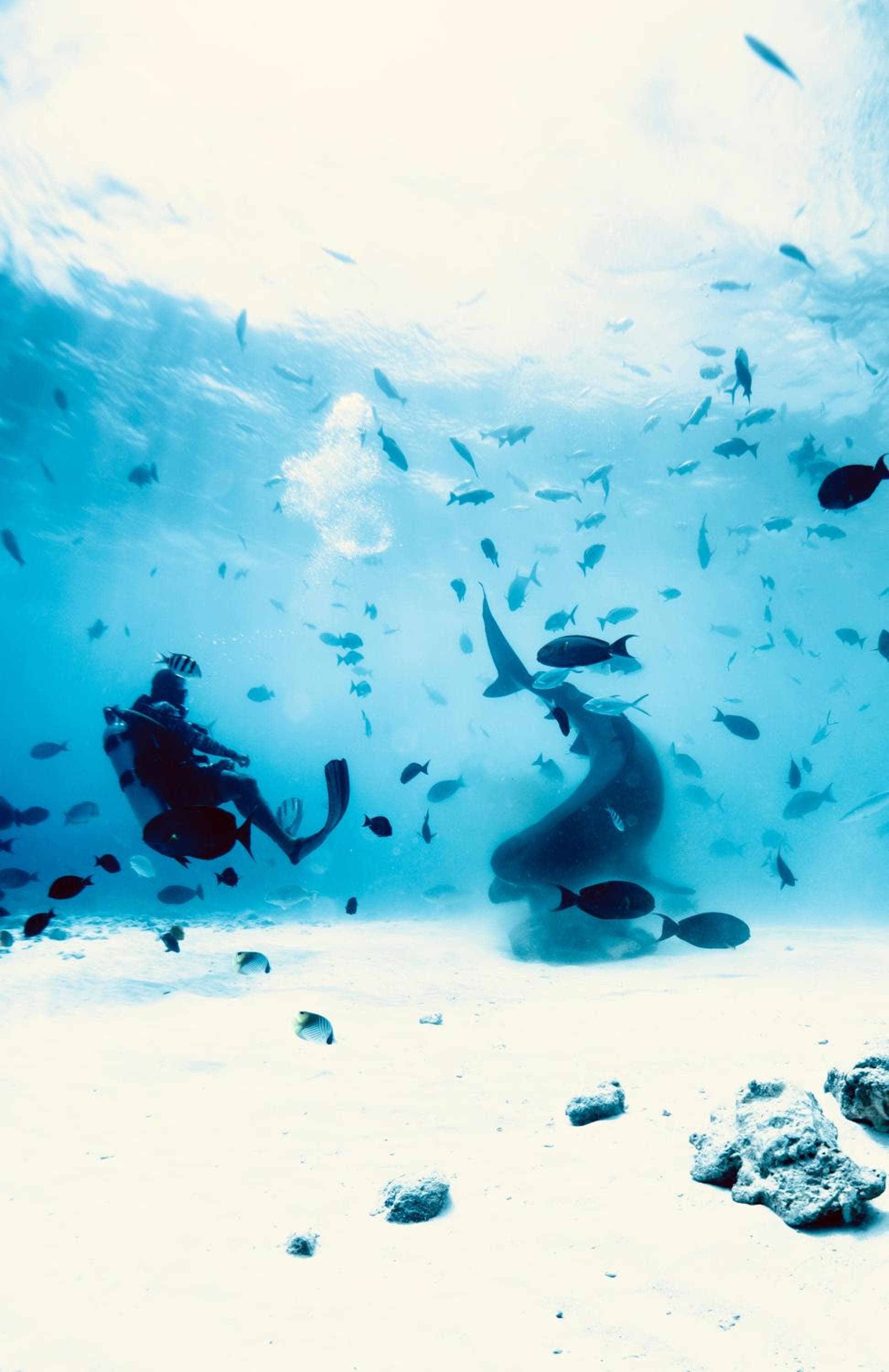 Ataraxis Grand and Spa Fuvahmulah - View 23