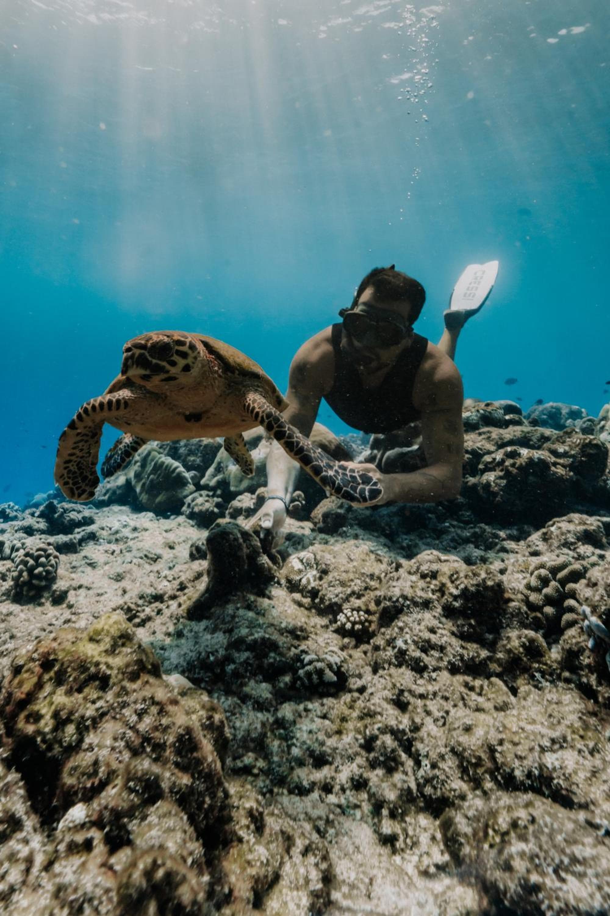 Ataraxis Grand and Spa Fuvahmulah - View 28