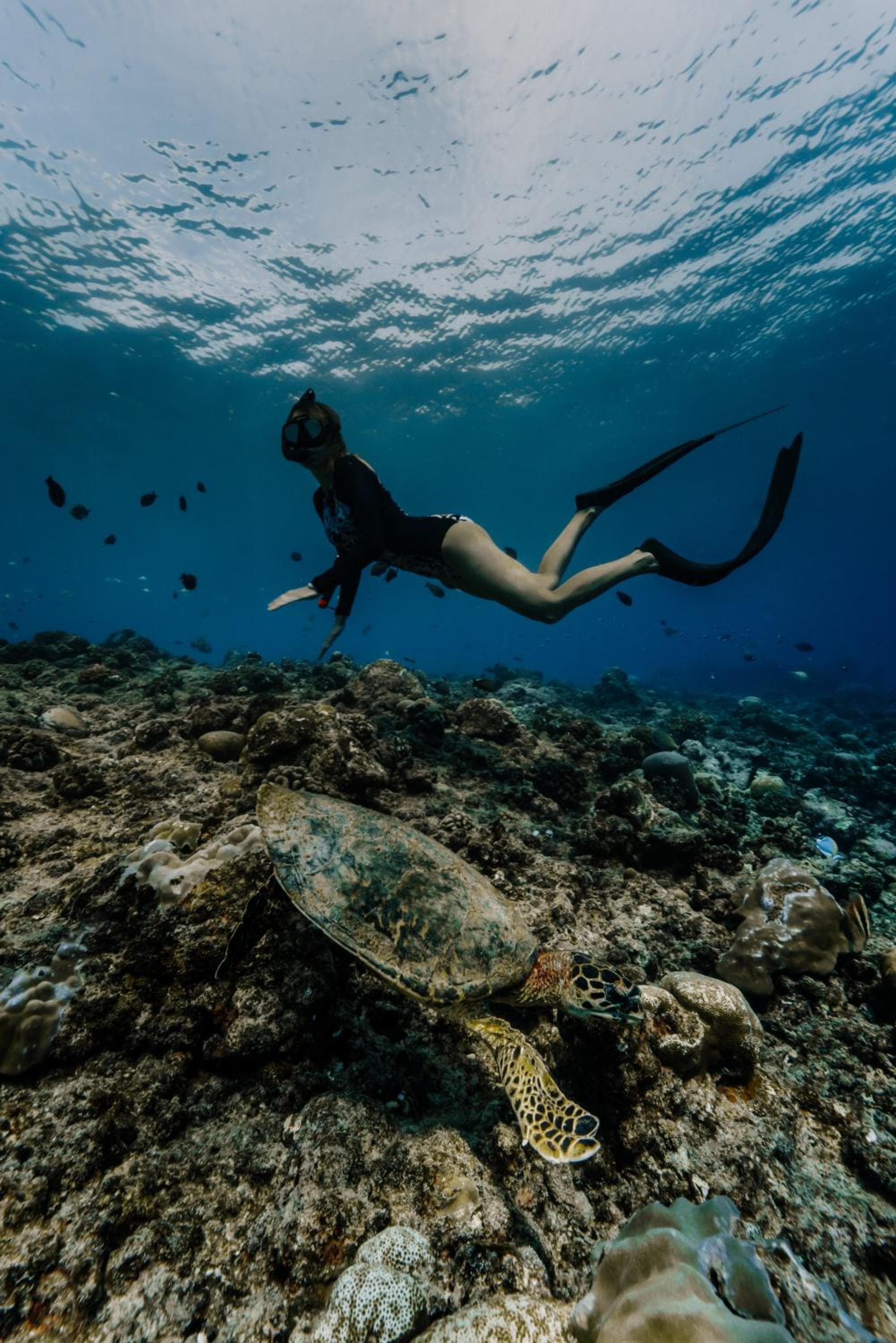 Ataraxis Grand and Spa Fuvahmulah - View 34