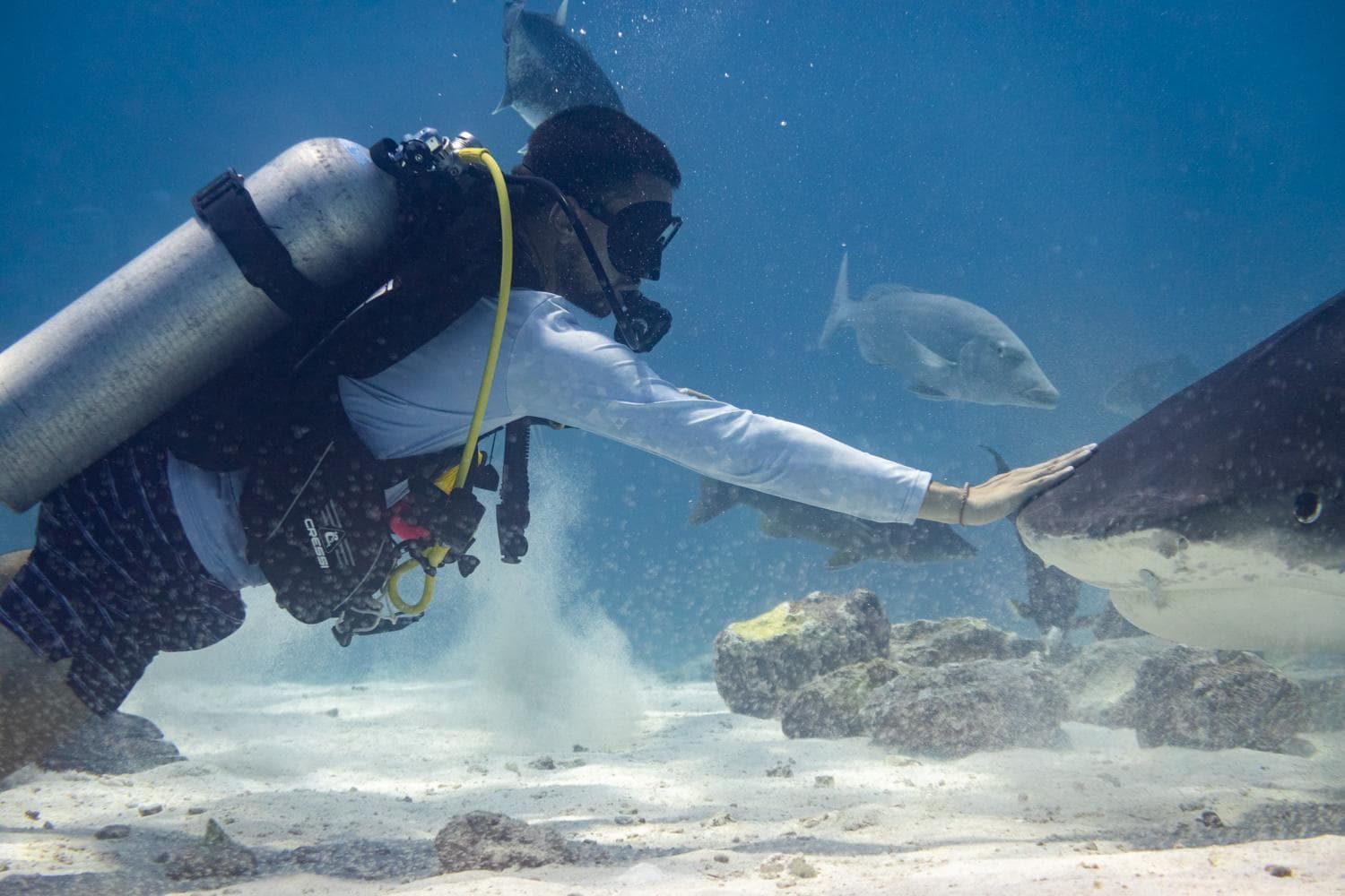 Ataraxis Grand and Spa Fuvahmulah - View 44