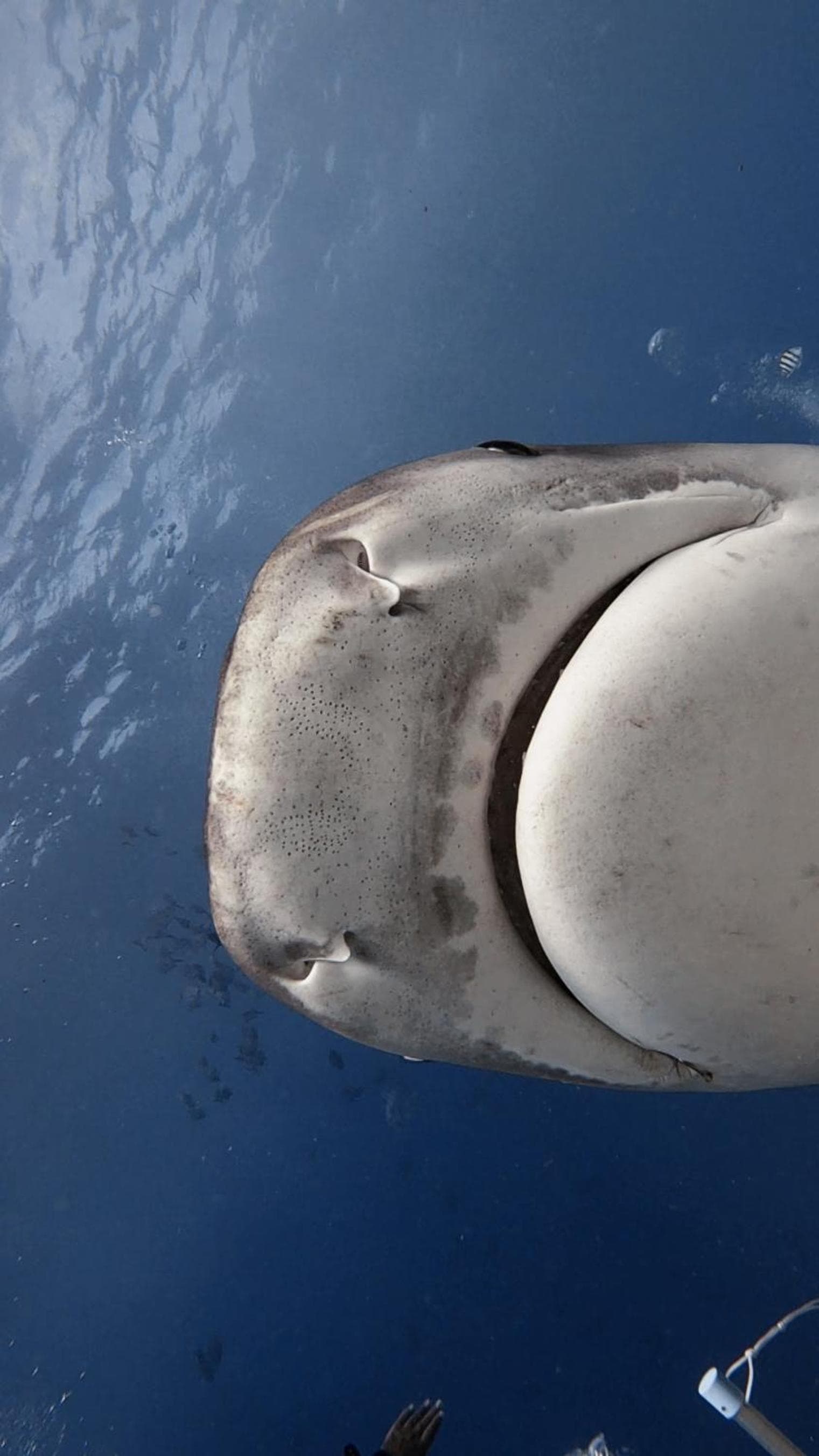 Isle Royal Inn - View 51