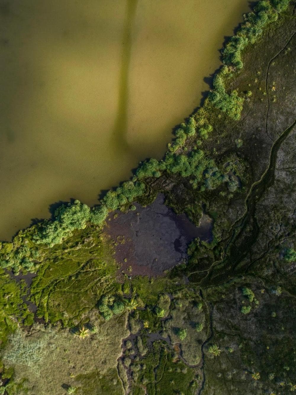 Isle Royal Inn - View 64