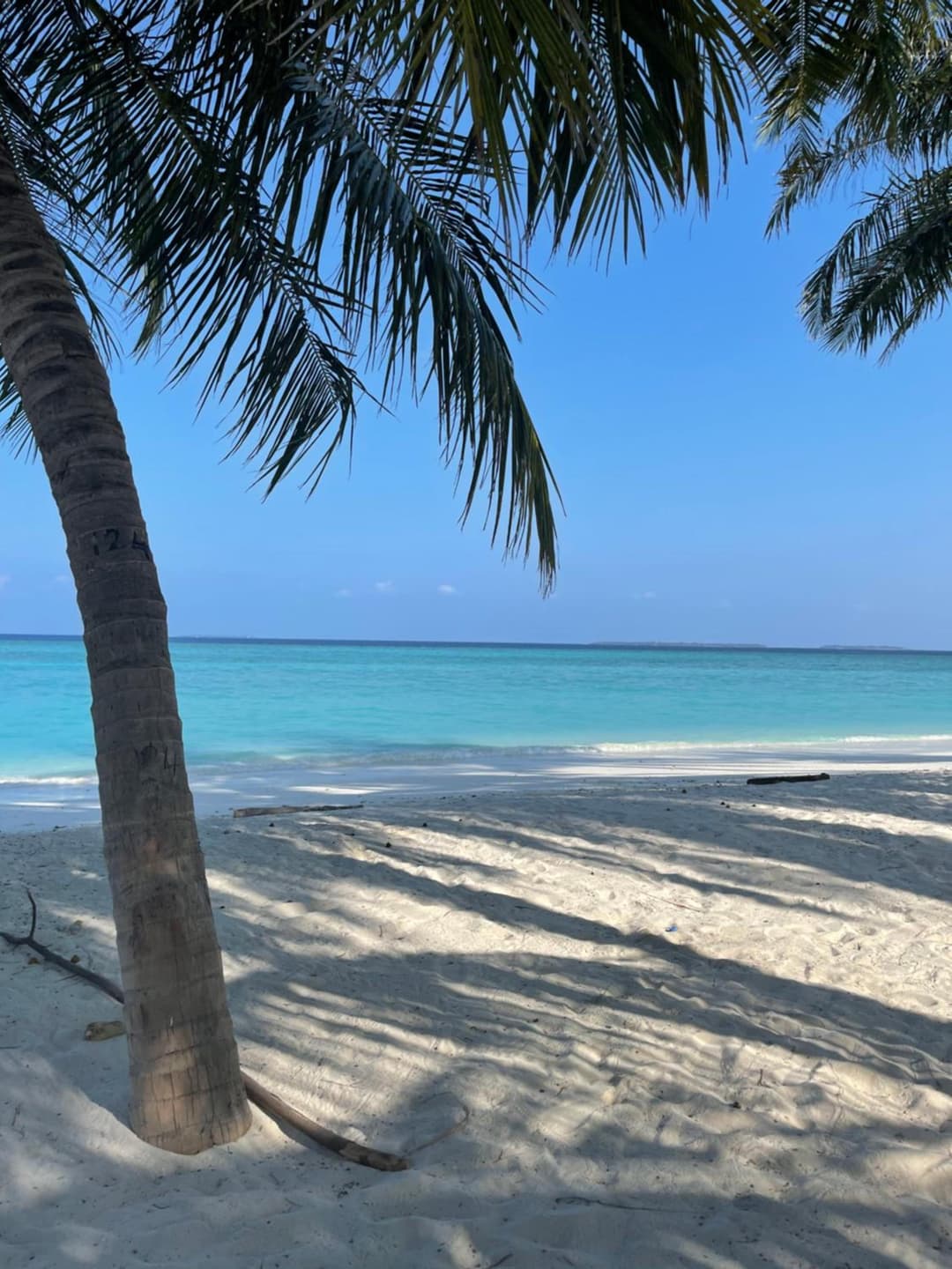 Viluveli Holiday Retreat - View 83