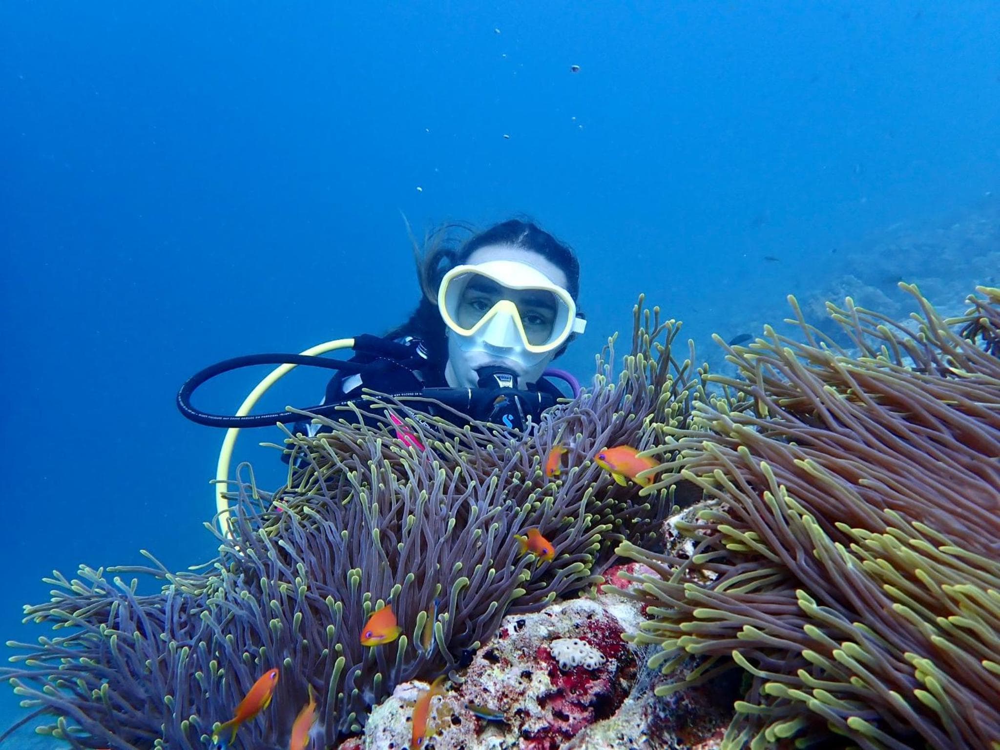 Viluveli Holiday Retreat - Special offer Available - Valid till January 15th 2026 - View 2