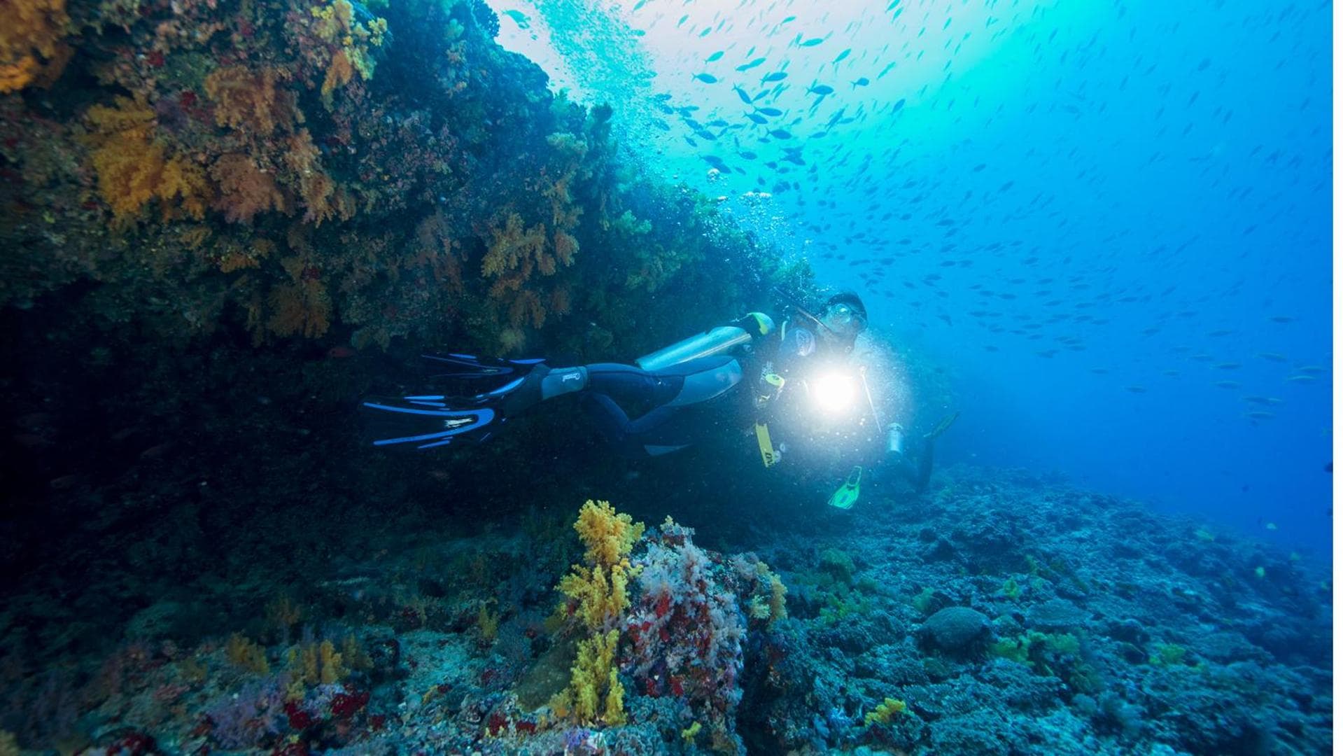 The Barefoot Eco Hotel - View 40