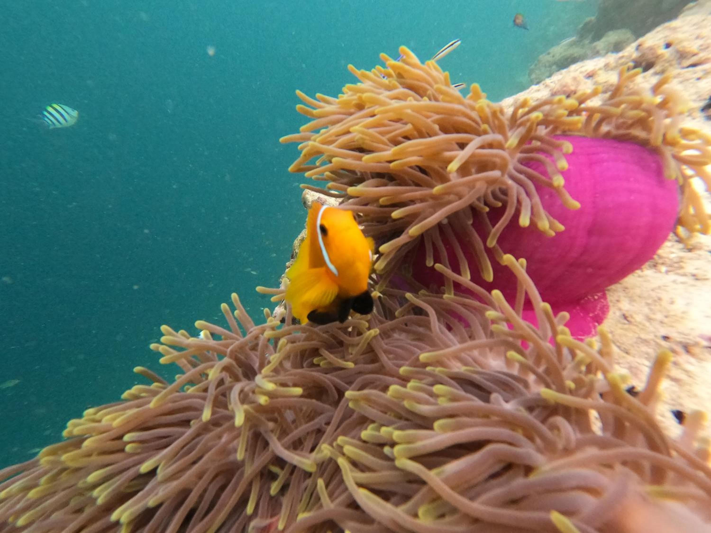 Athens View Hotel - View 14