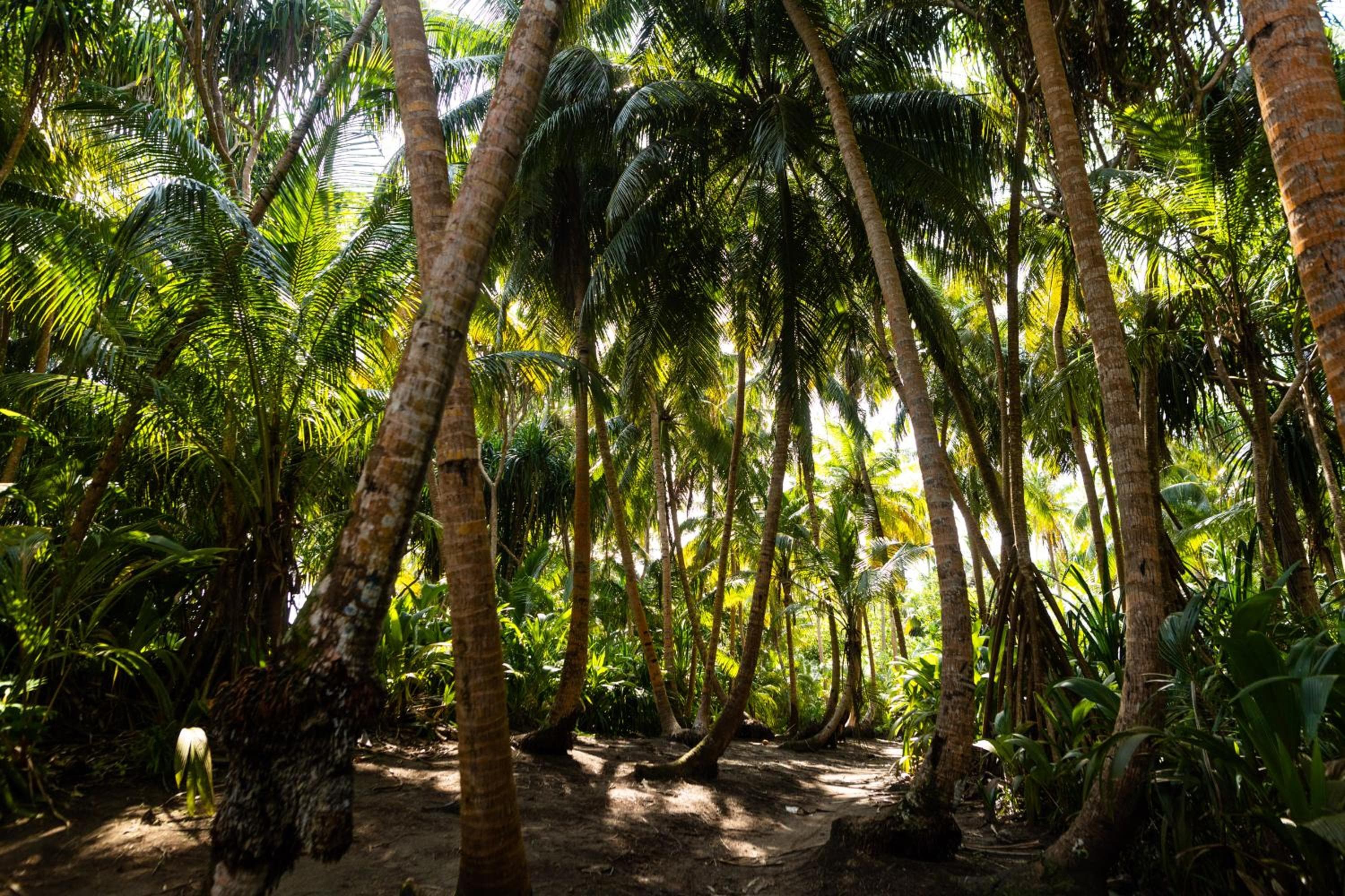 Manta Reserve - View 41