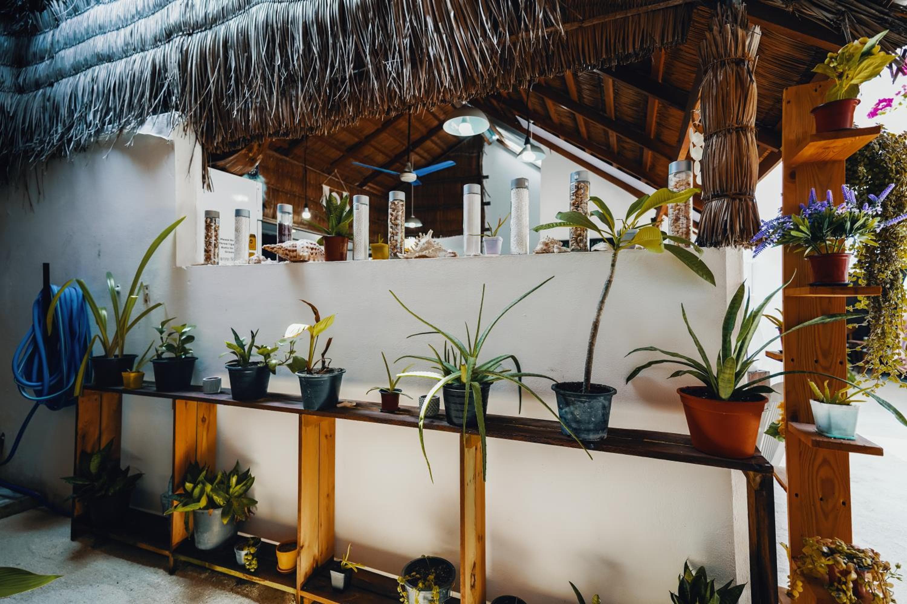 Rasdu View Inn - View 214