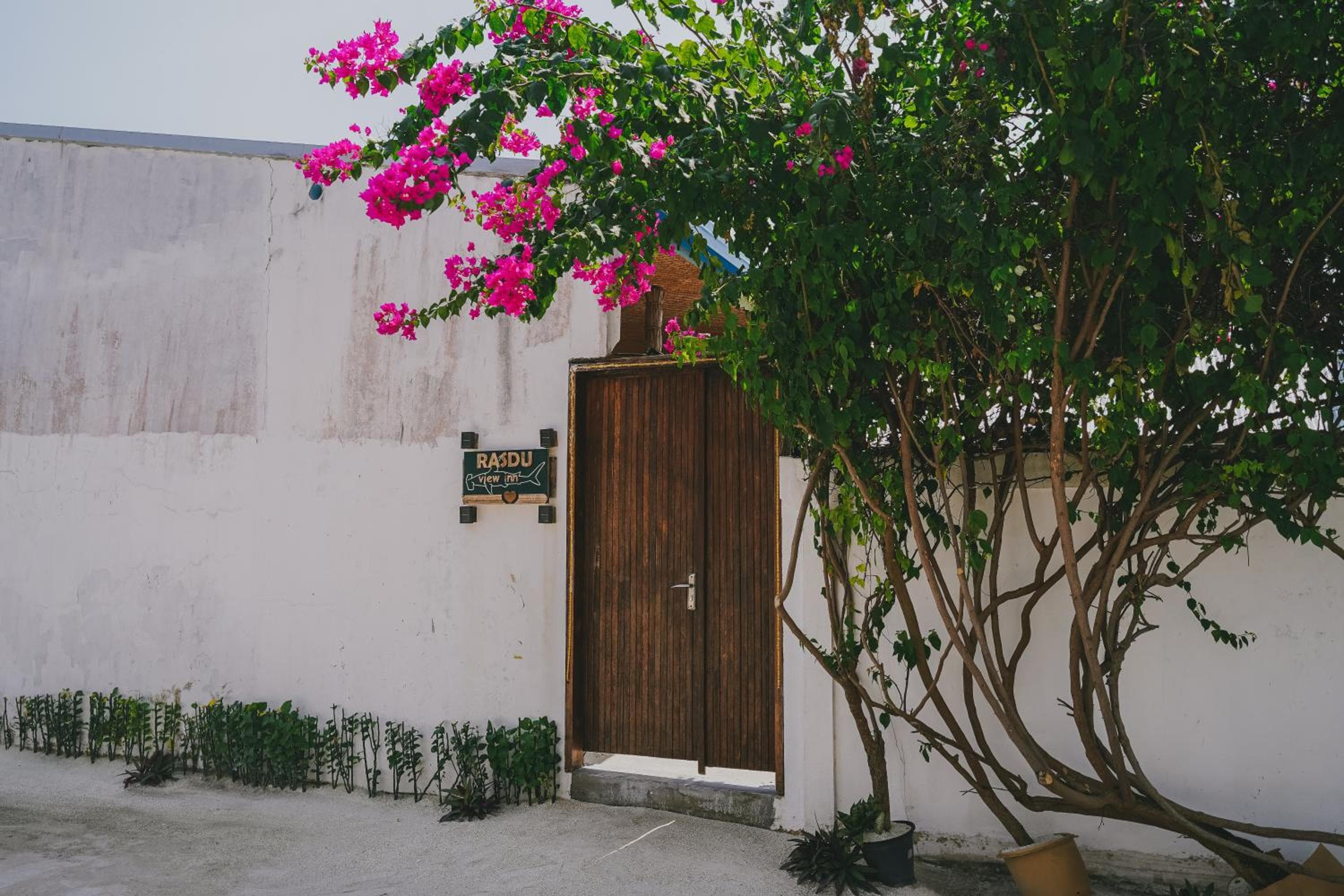 Rasdu View Inn - View 12