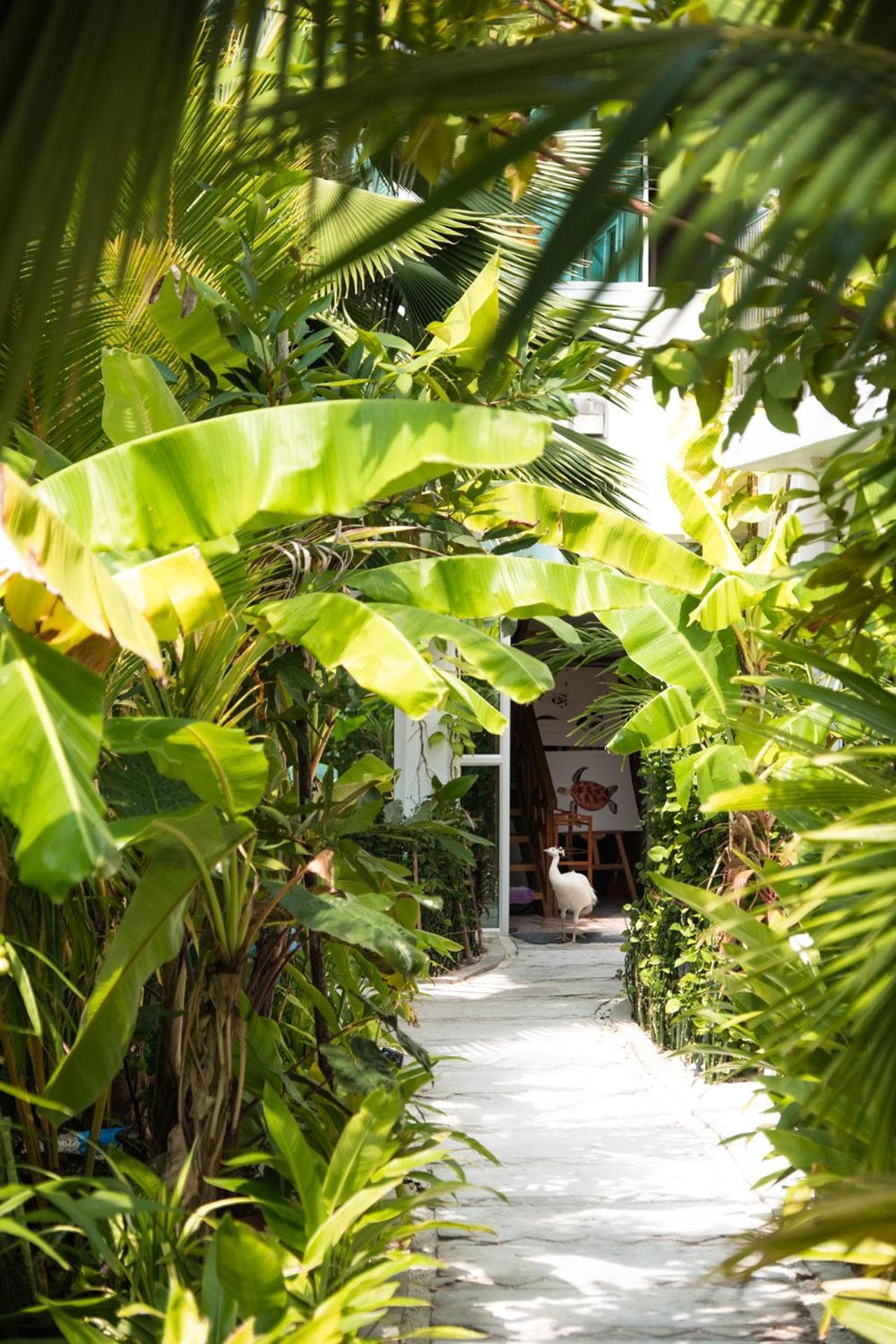 PERLA Dhangethi - View 180