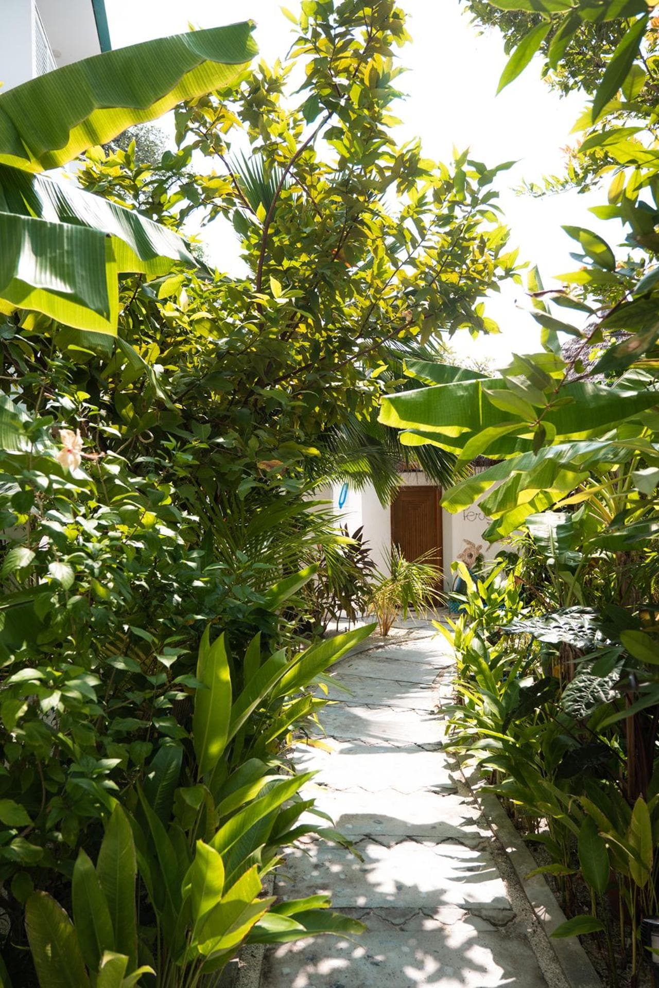 PERLA Dhangethi - View 184