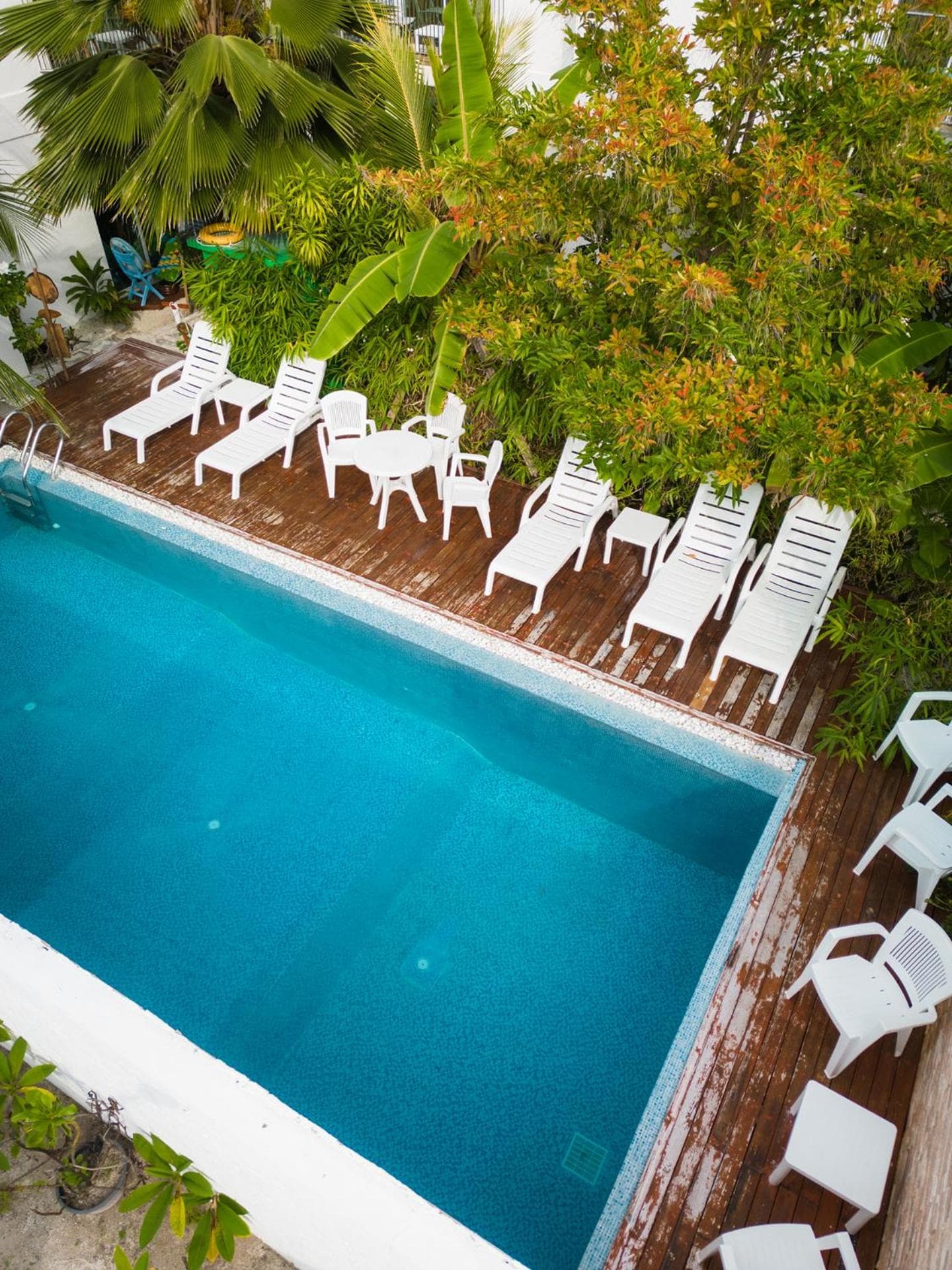 PERLA Dhangethi - View 113